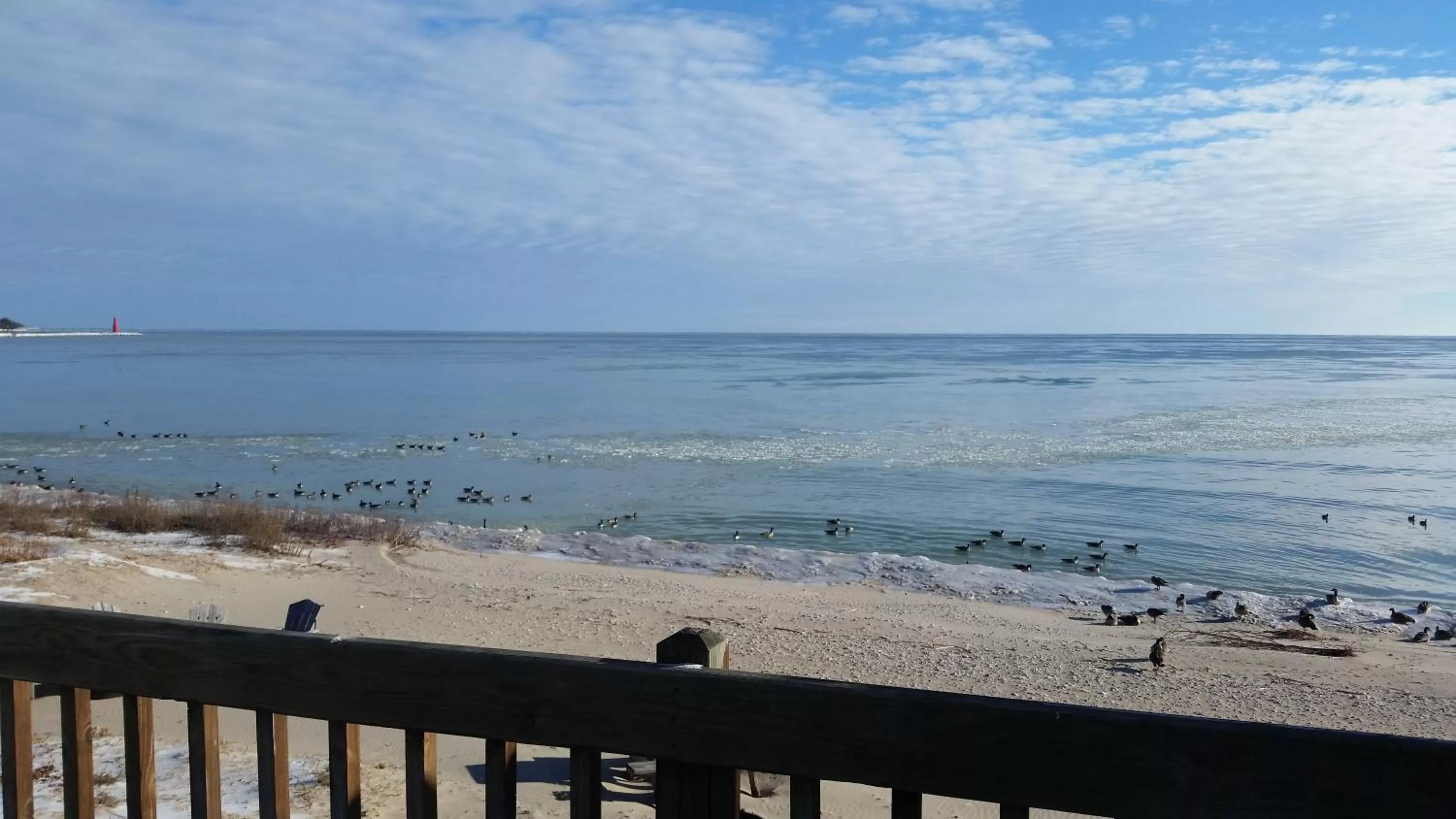 View (from property/room) in Algoma Beach Motel