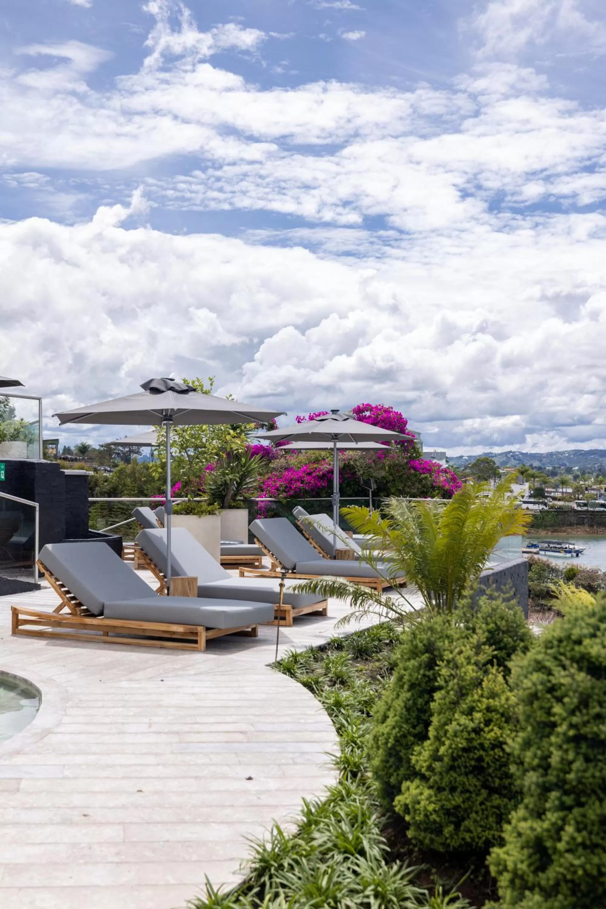 Garden view in Tau House