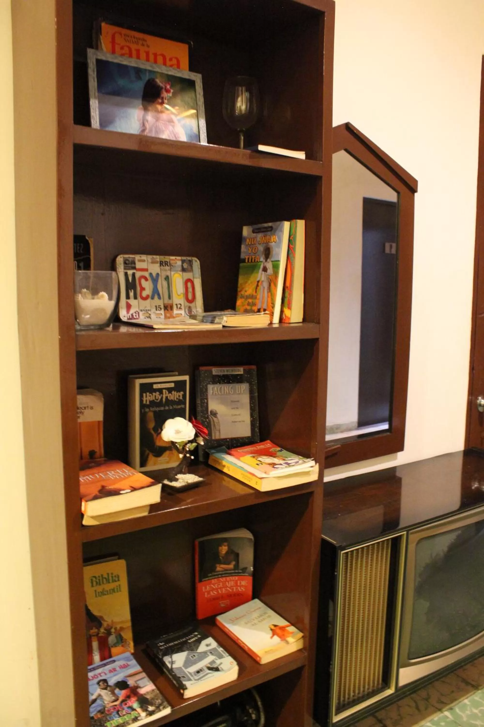 Library in Casa Bonita Hotel y Hostal