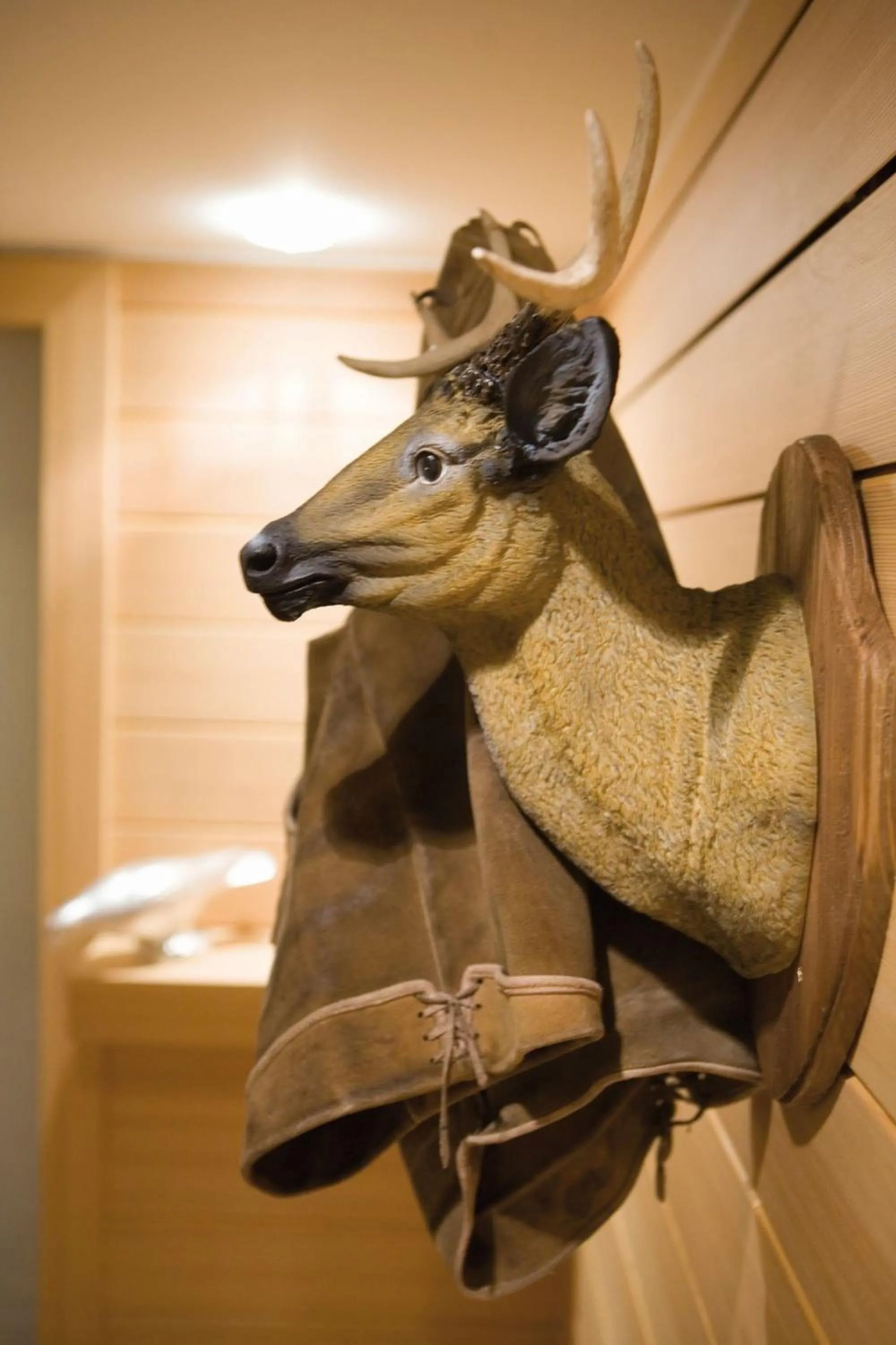 Other in Hotel Sonnengut Wellness - Therme - Spa