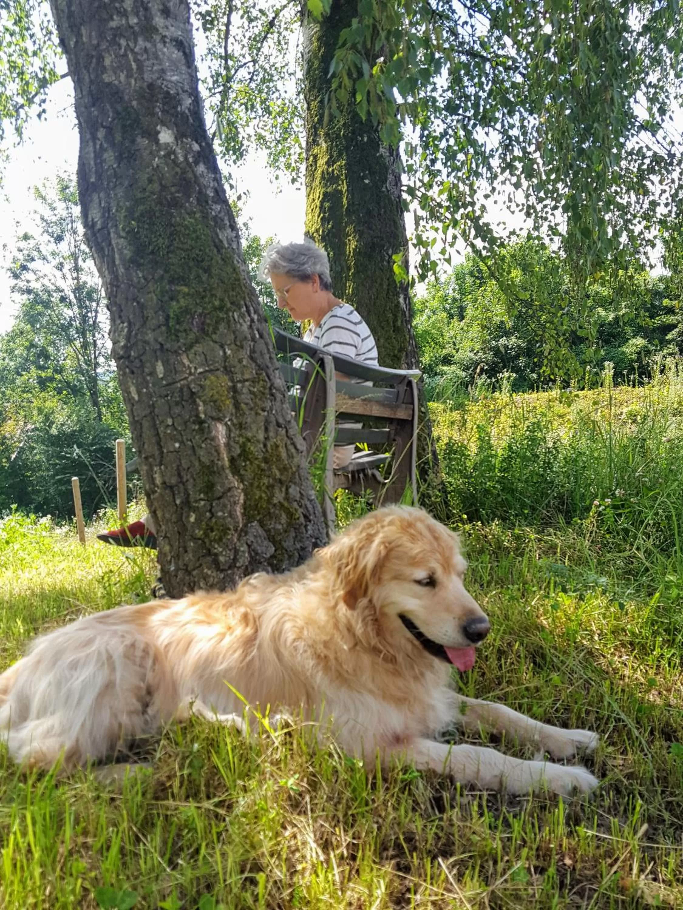 Living room in Sunhill Appartments, klimatisiert