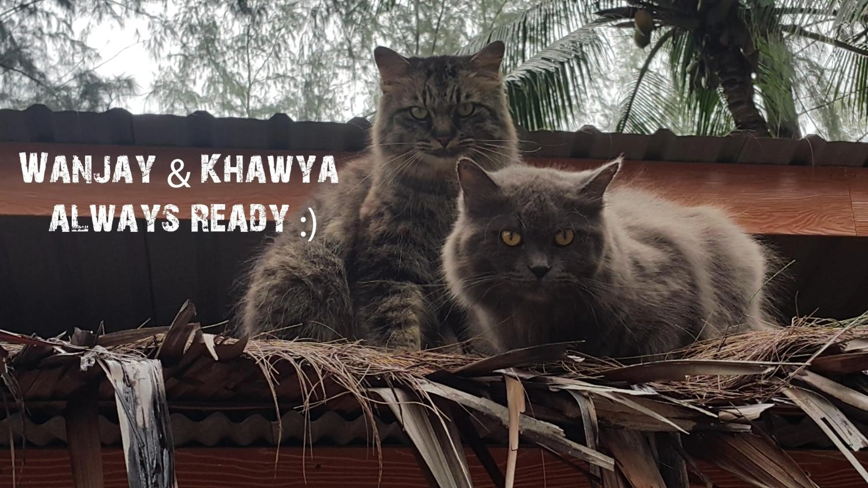 Property building in Eco Lanta Hideaway Beach Resort