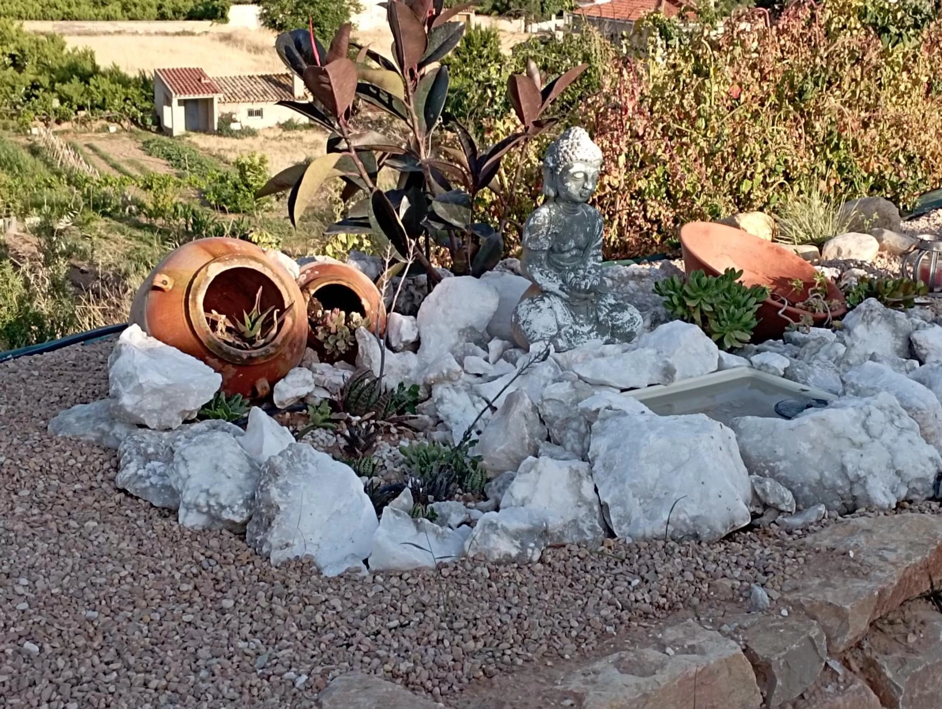 Day in Cabezo Buñuel Hostal