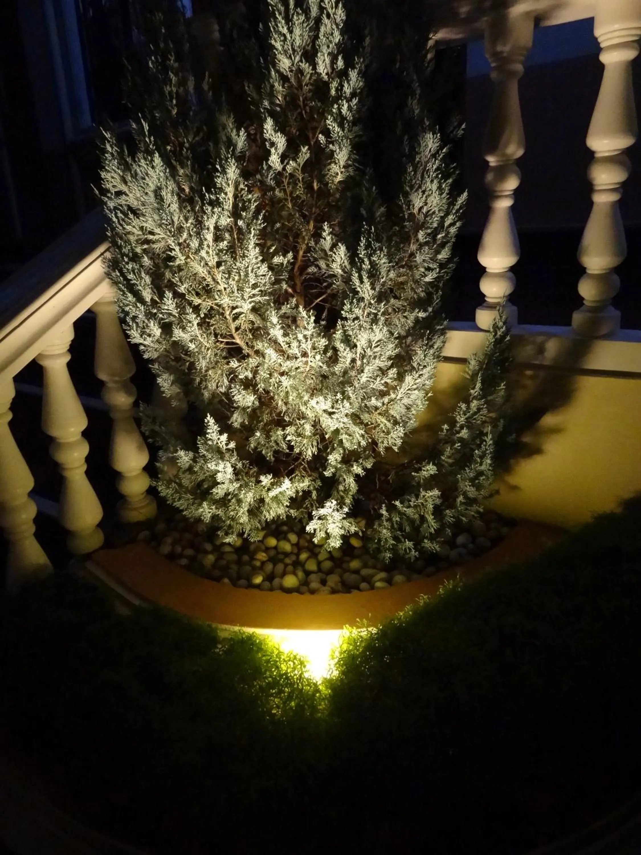 The Executive Villa Inn & Suites