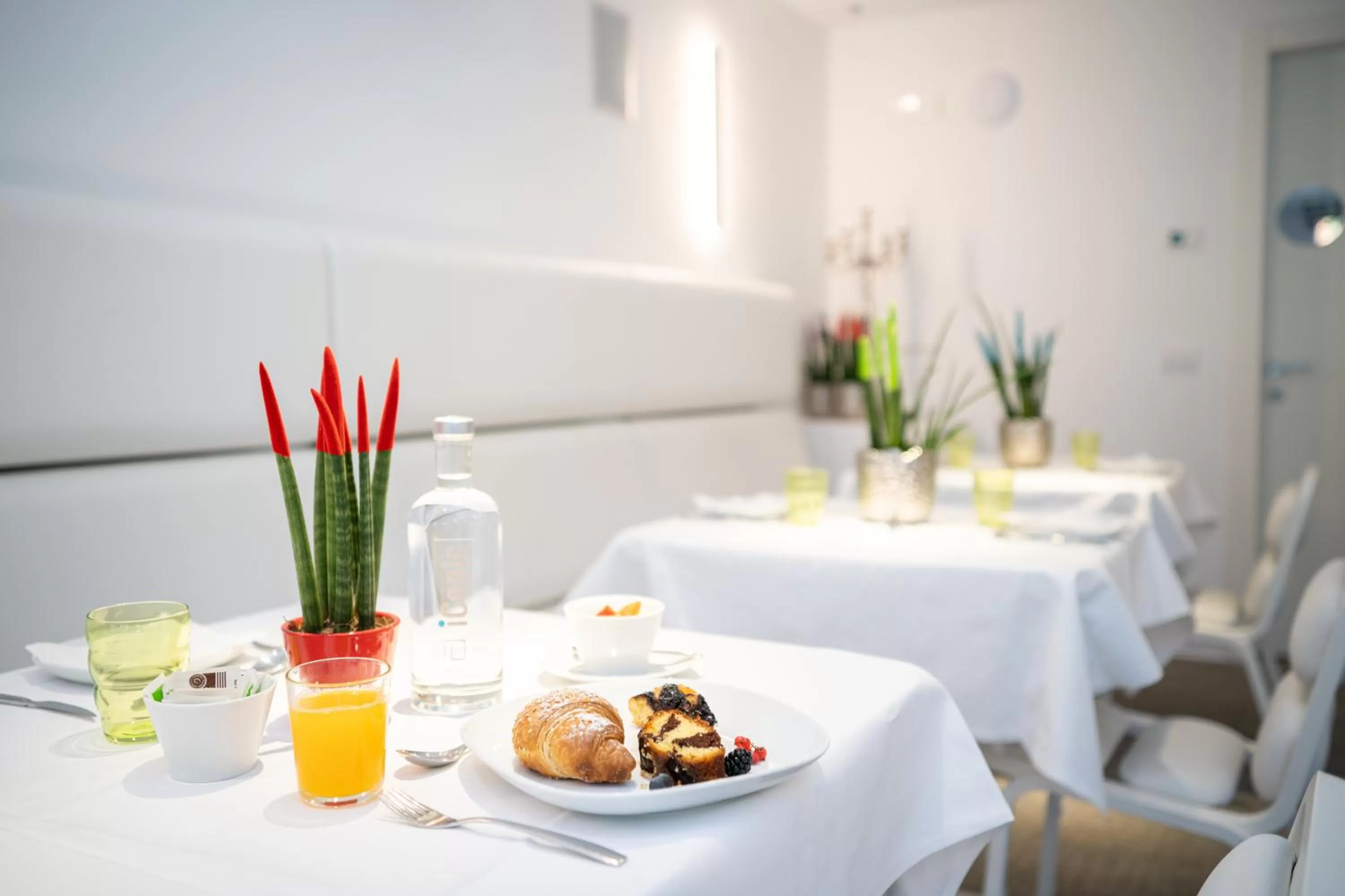 Continental breakfast in iConic Wellness Resort & Spa