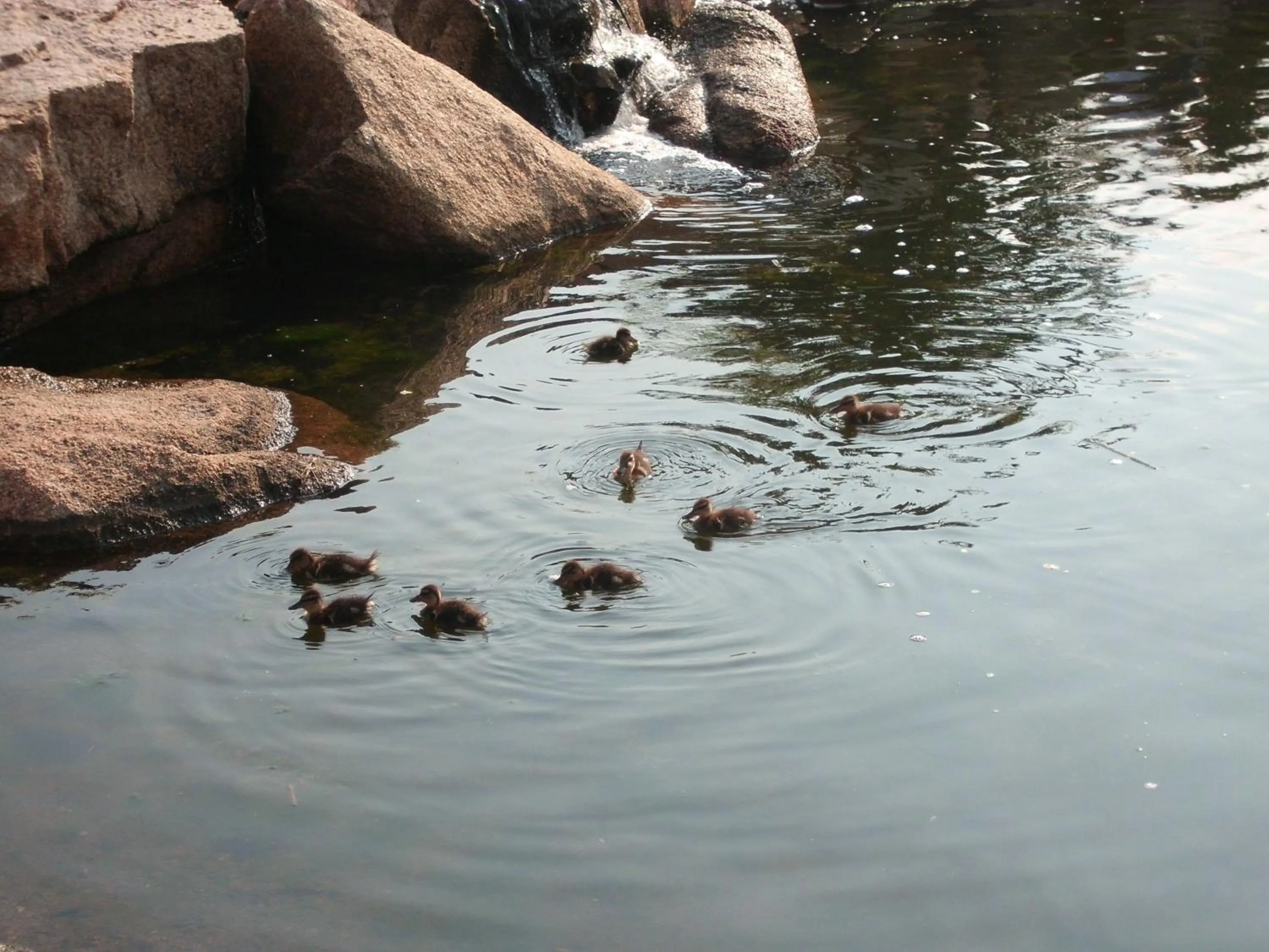 Area and facilities in Bagaglino I Giardini Di Porto Cervo