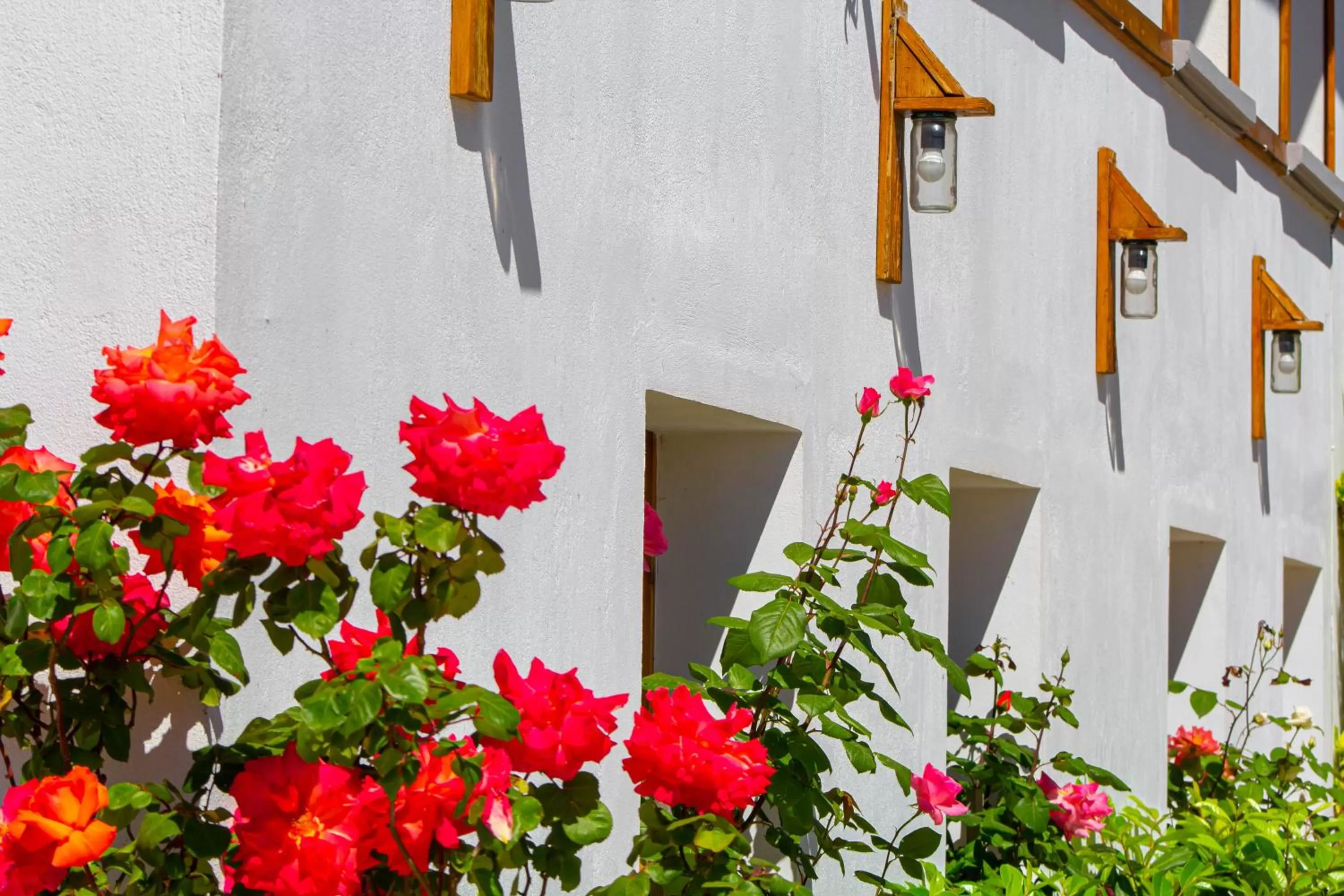 Property Building in Hotel Bebej Tradicional