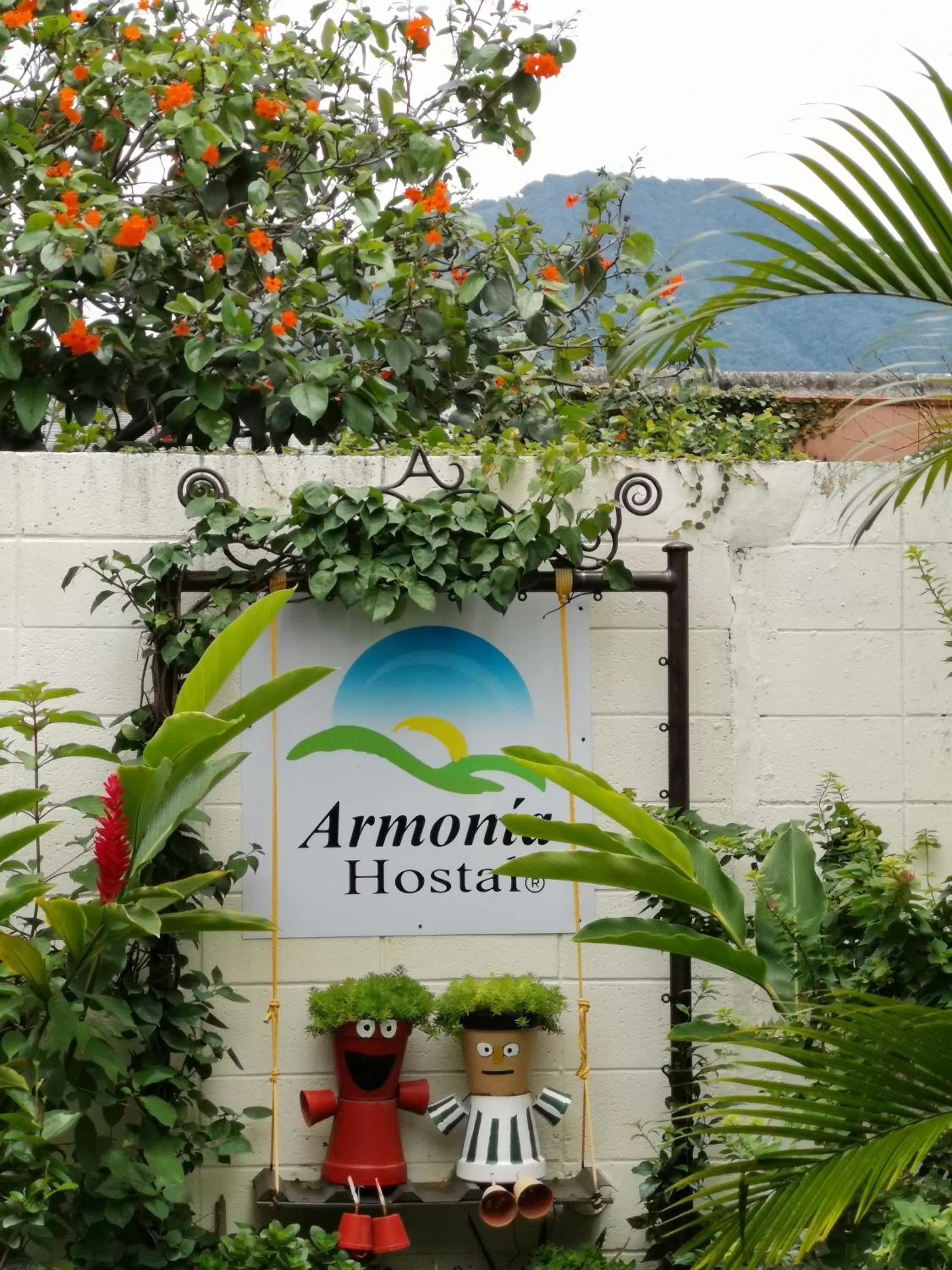 Activities in Hotel Armonía Hostal