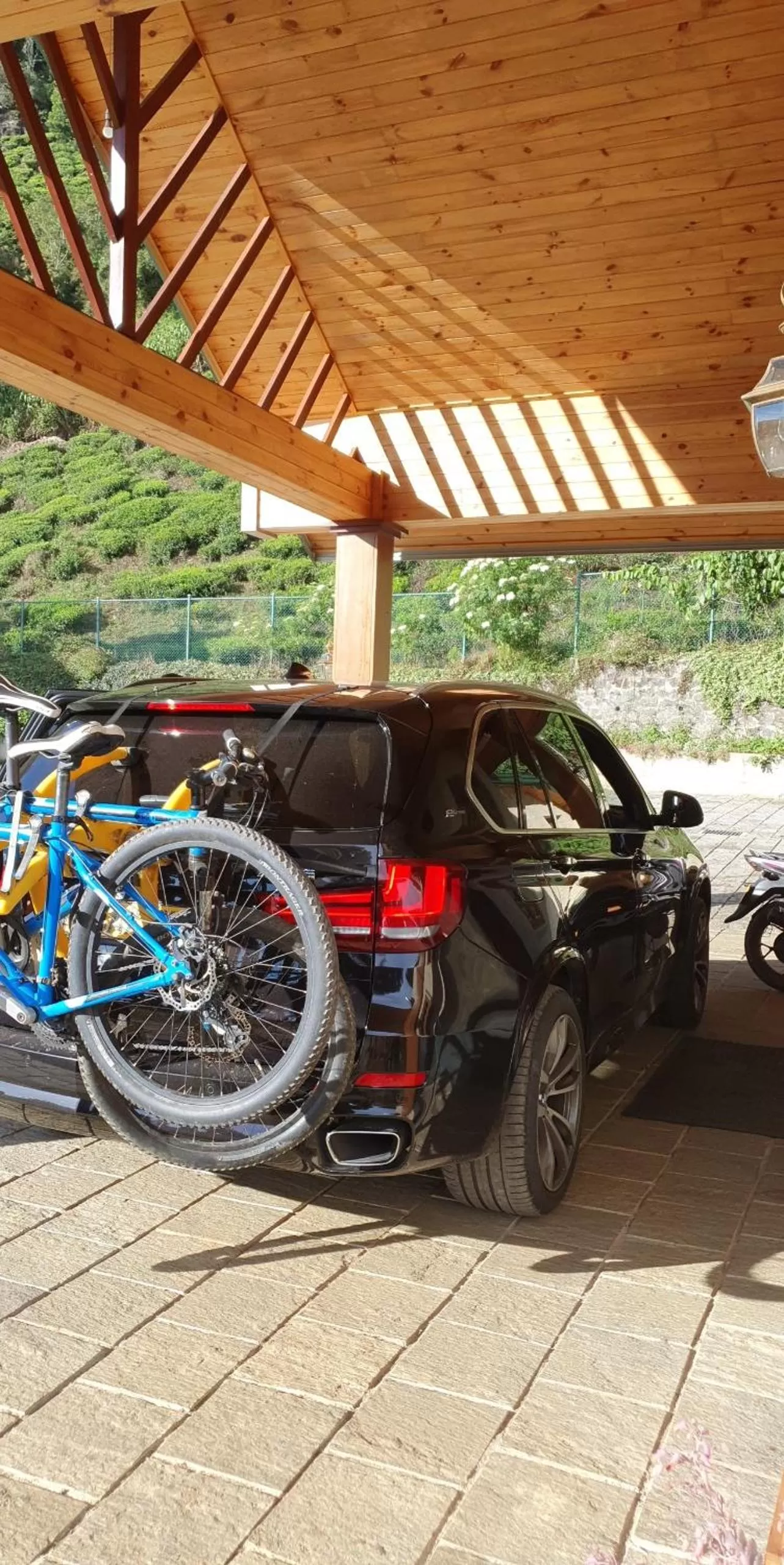 Activities in Tea Bush Hotel