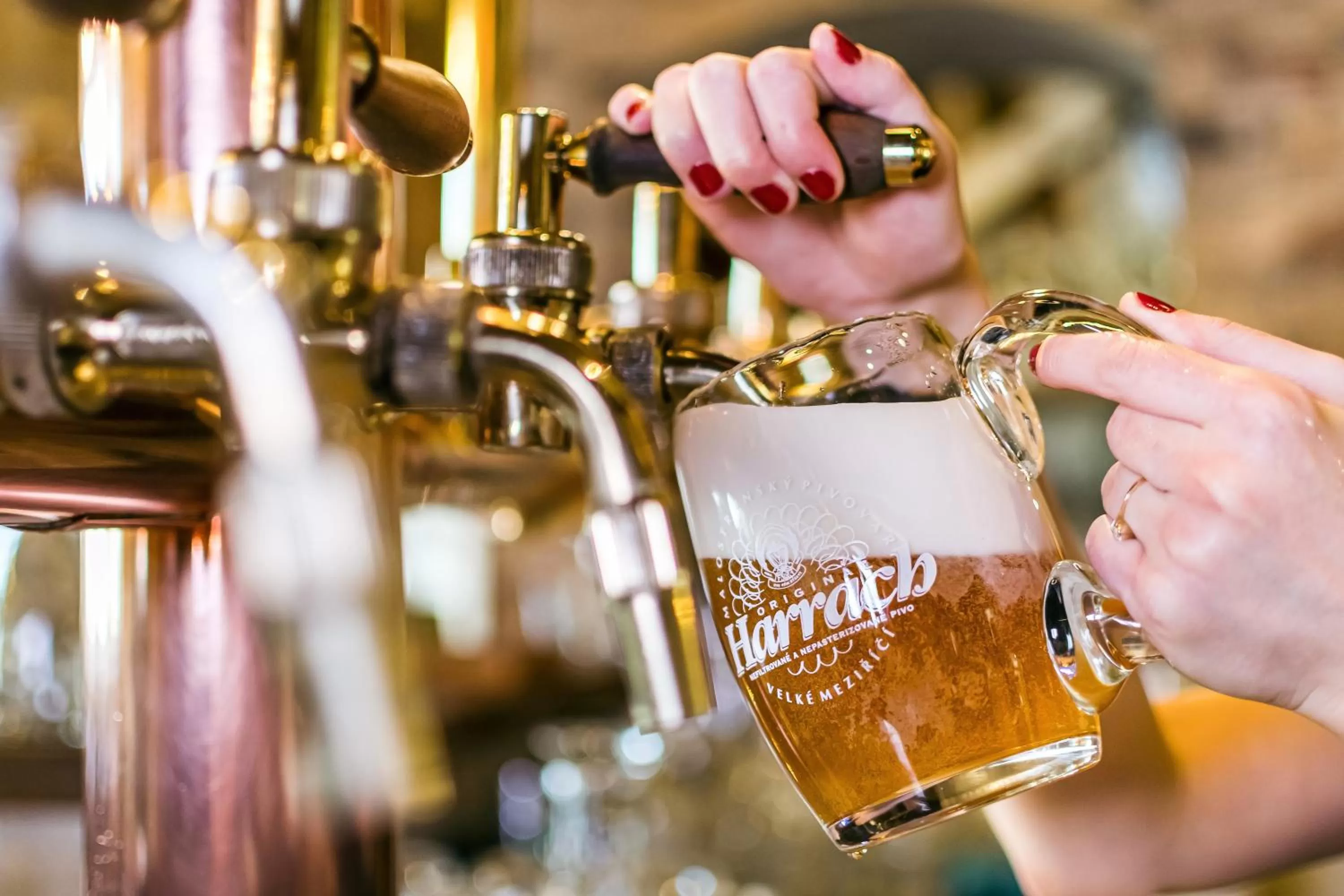 Restaurant/places to eat in Hotel Jelínkova vila