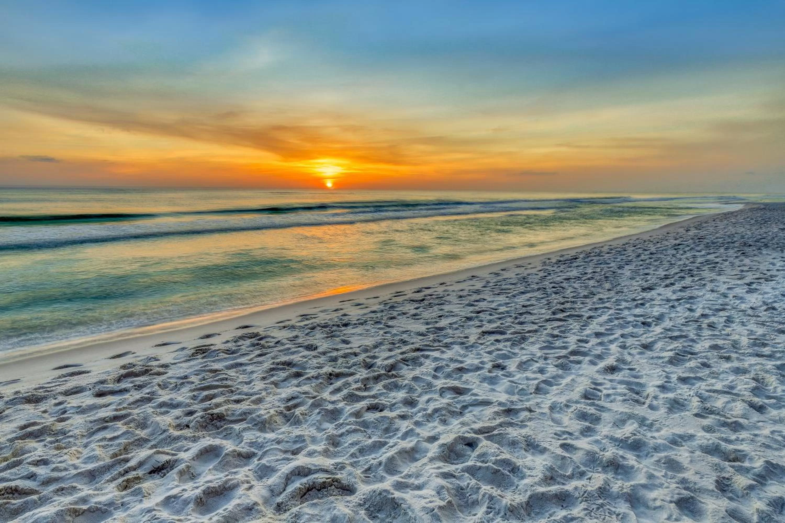 Beach in Tidewater 2510