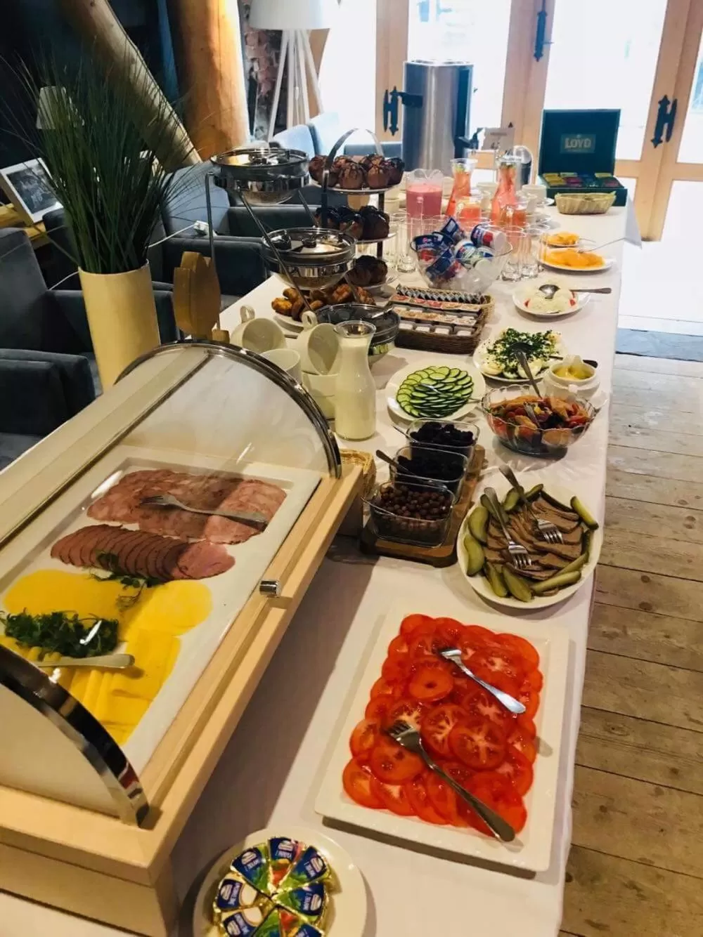 Food in Hotel Restauracja Piwnica Rycerska