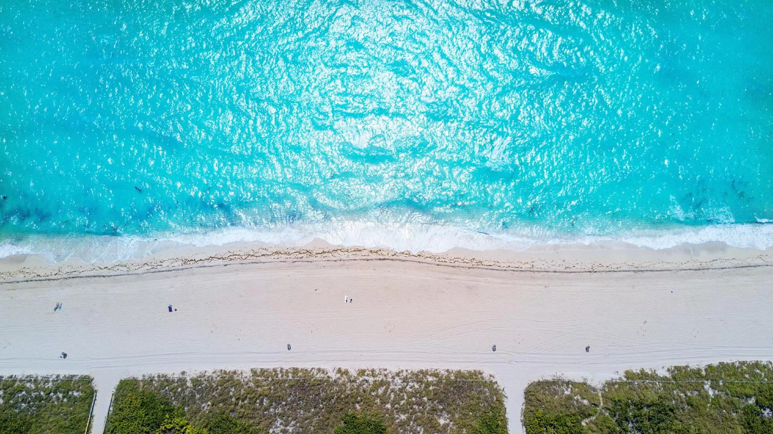 Property building, Bird's-eye View in The Donovan at Miami Beach