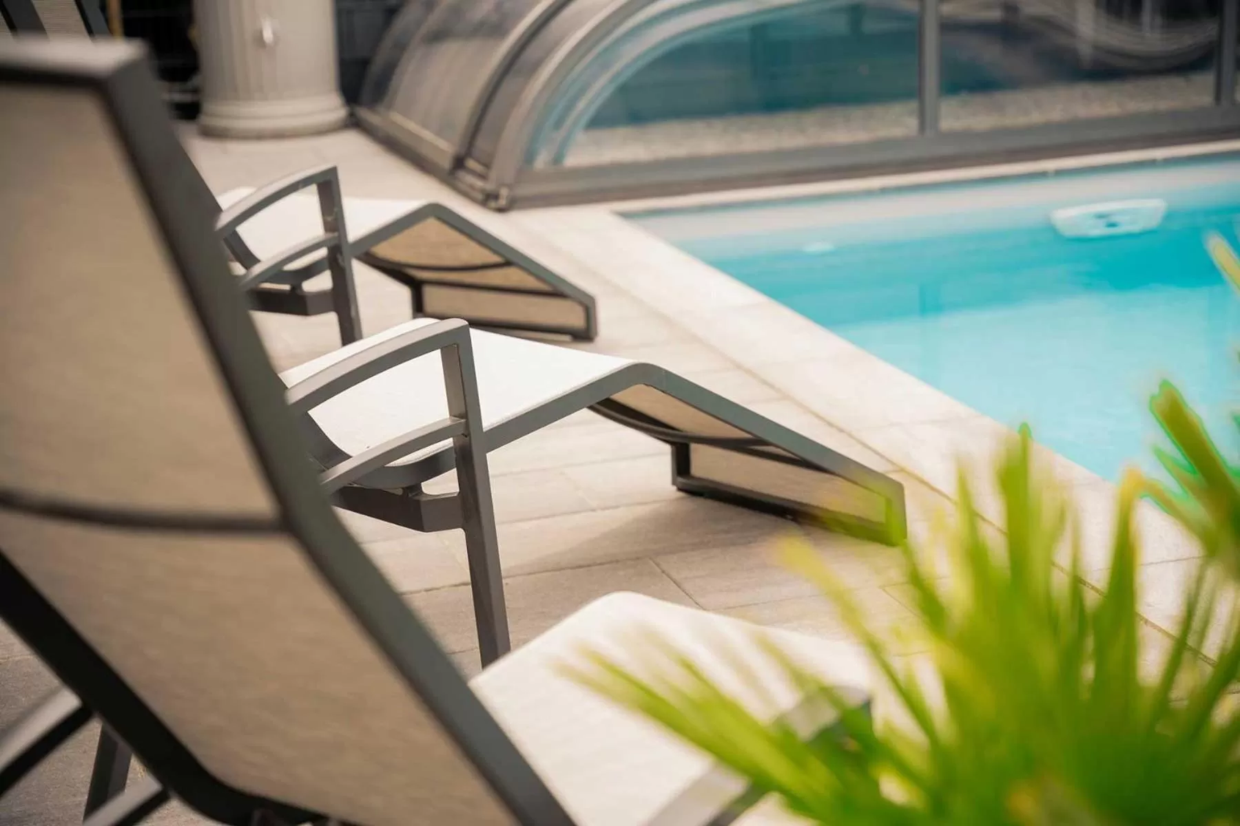 Garden, Swimming Pool in Hotel Park Cafe Reichl