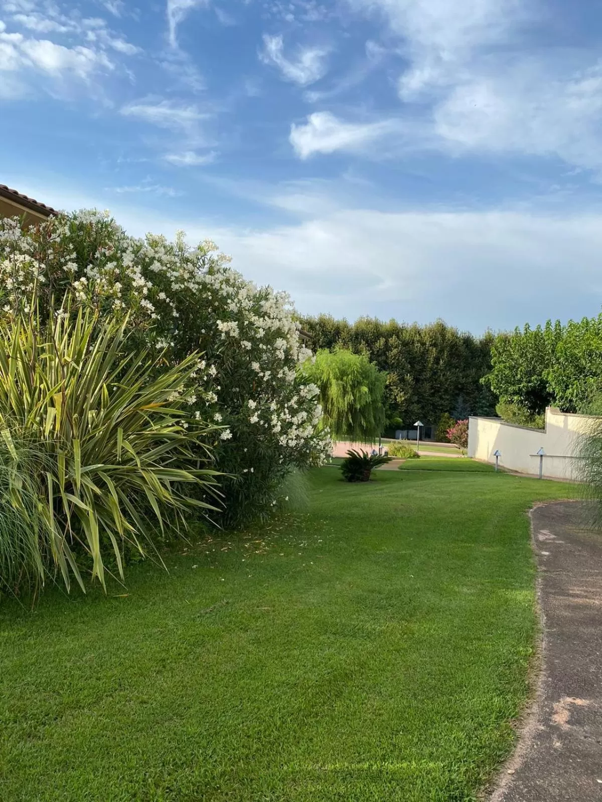 Patio in Casa Santa Elena