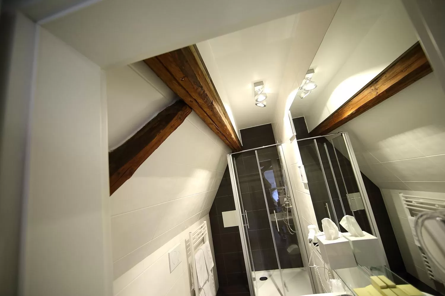 Bathroom in Schieners Hotel & Apfelhof Apartments