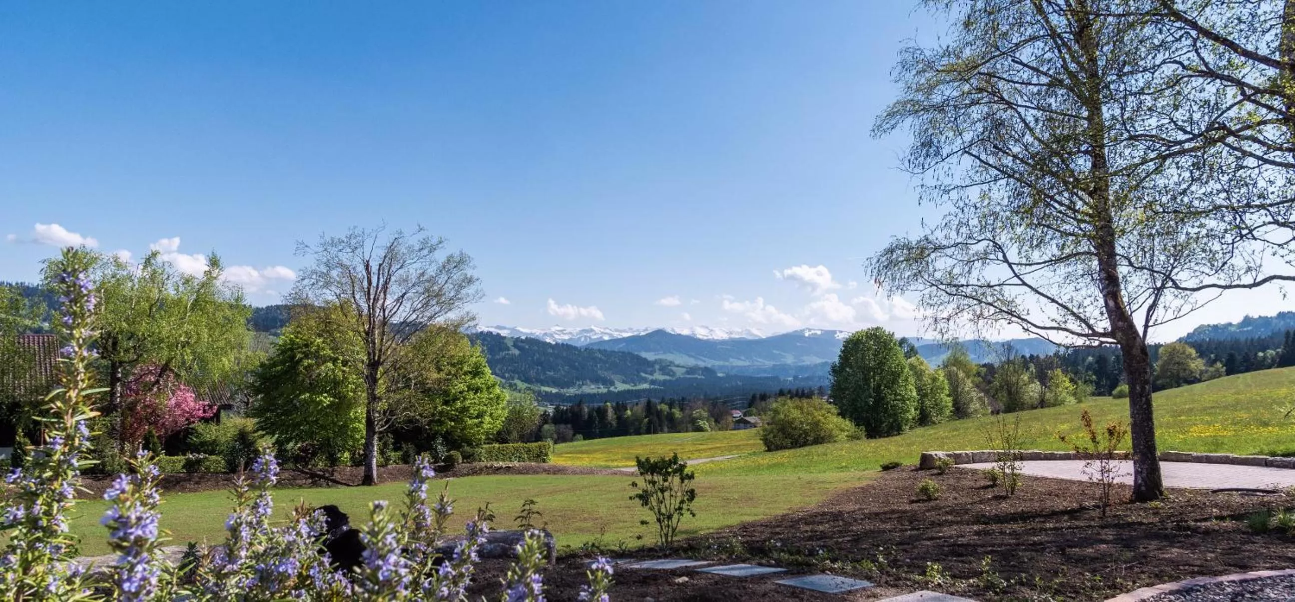 Natural landscape in Alpenloge Hotel
