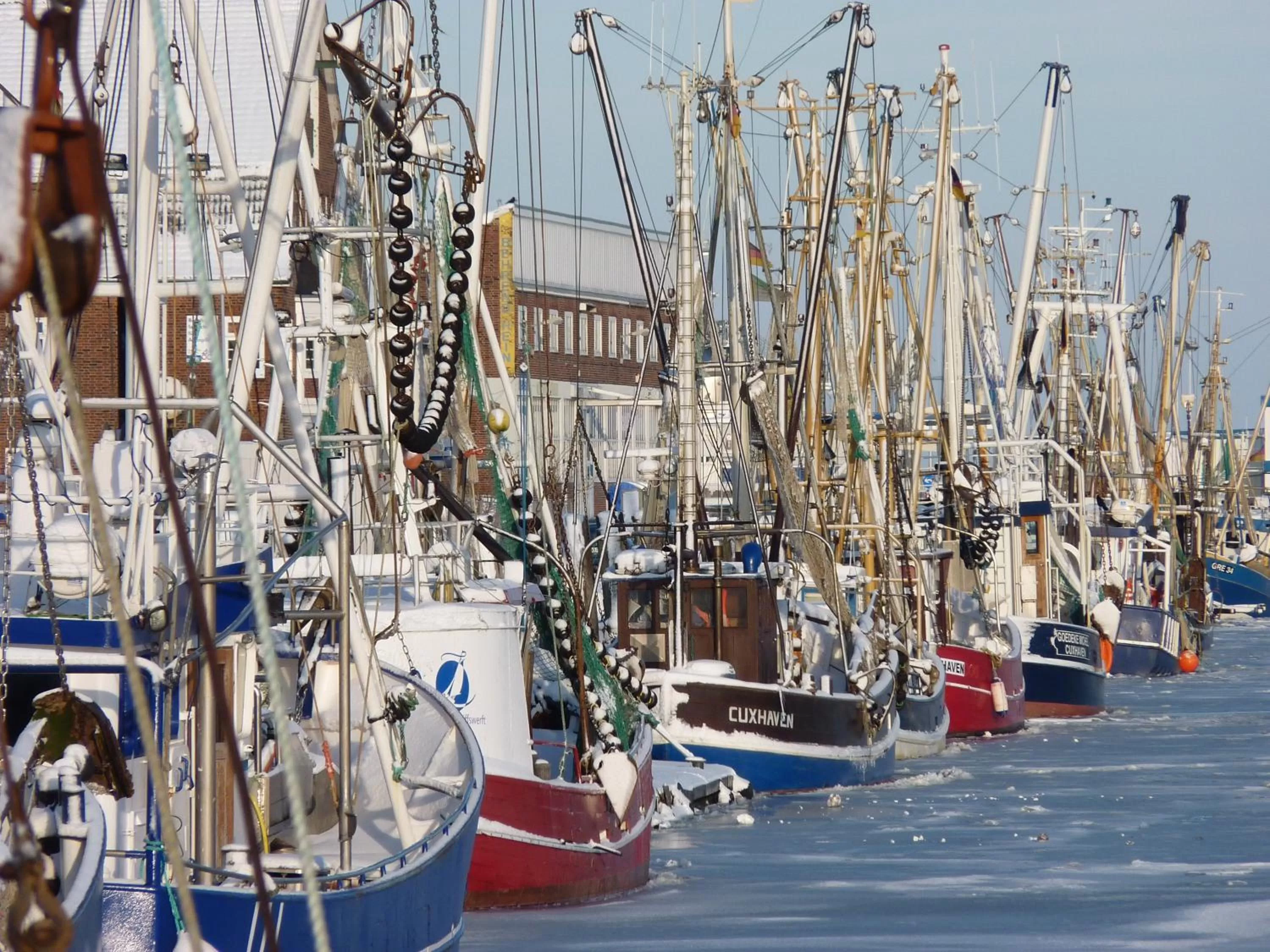 Area and facilities in Aparthotel Am Meer