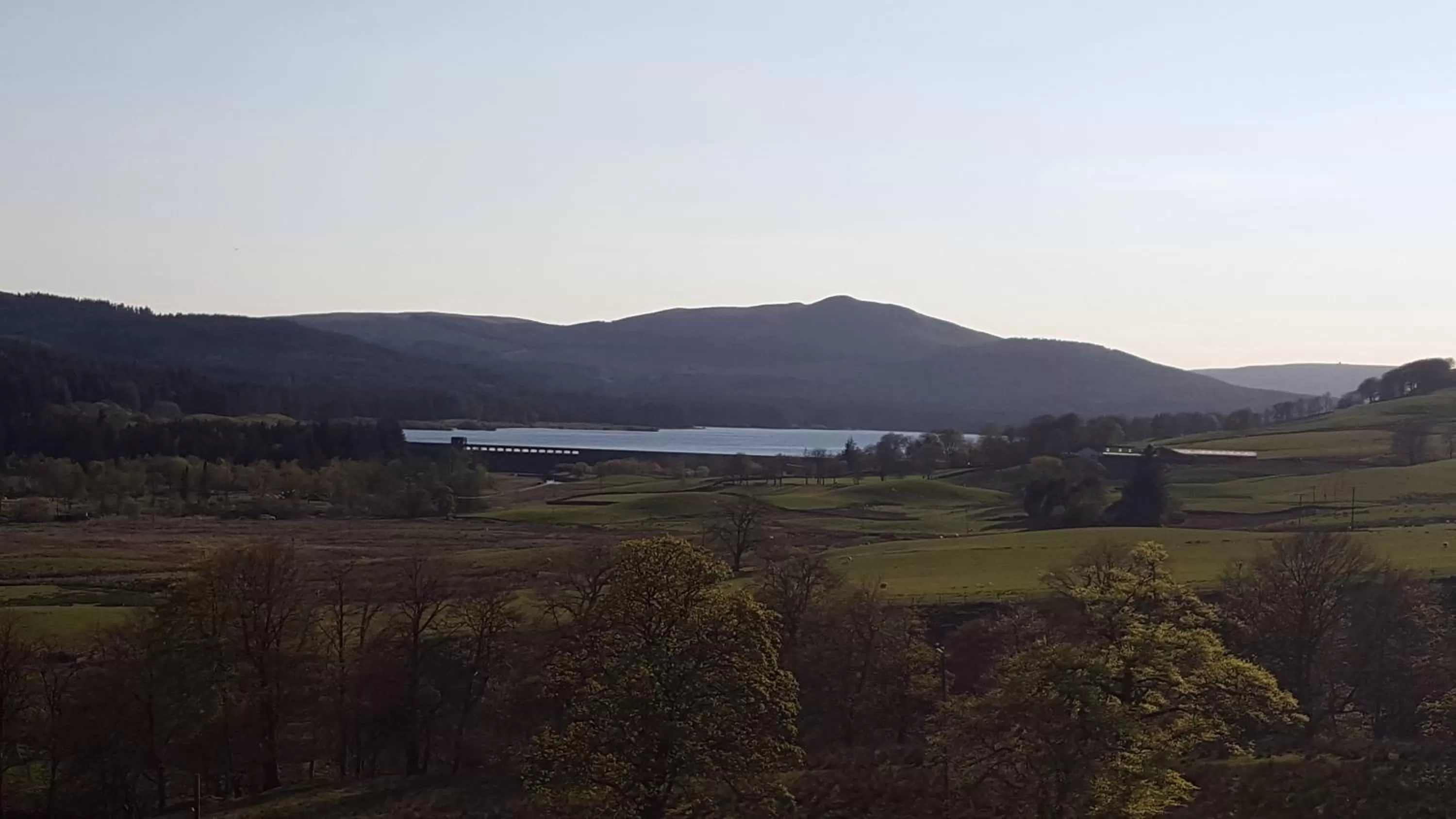View (from property/room) in B&B Drum Farm