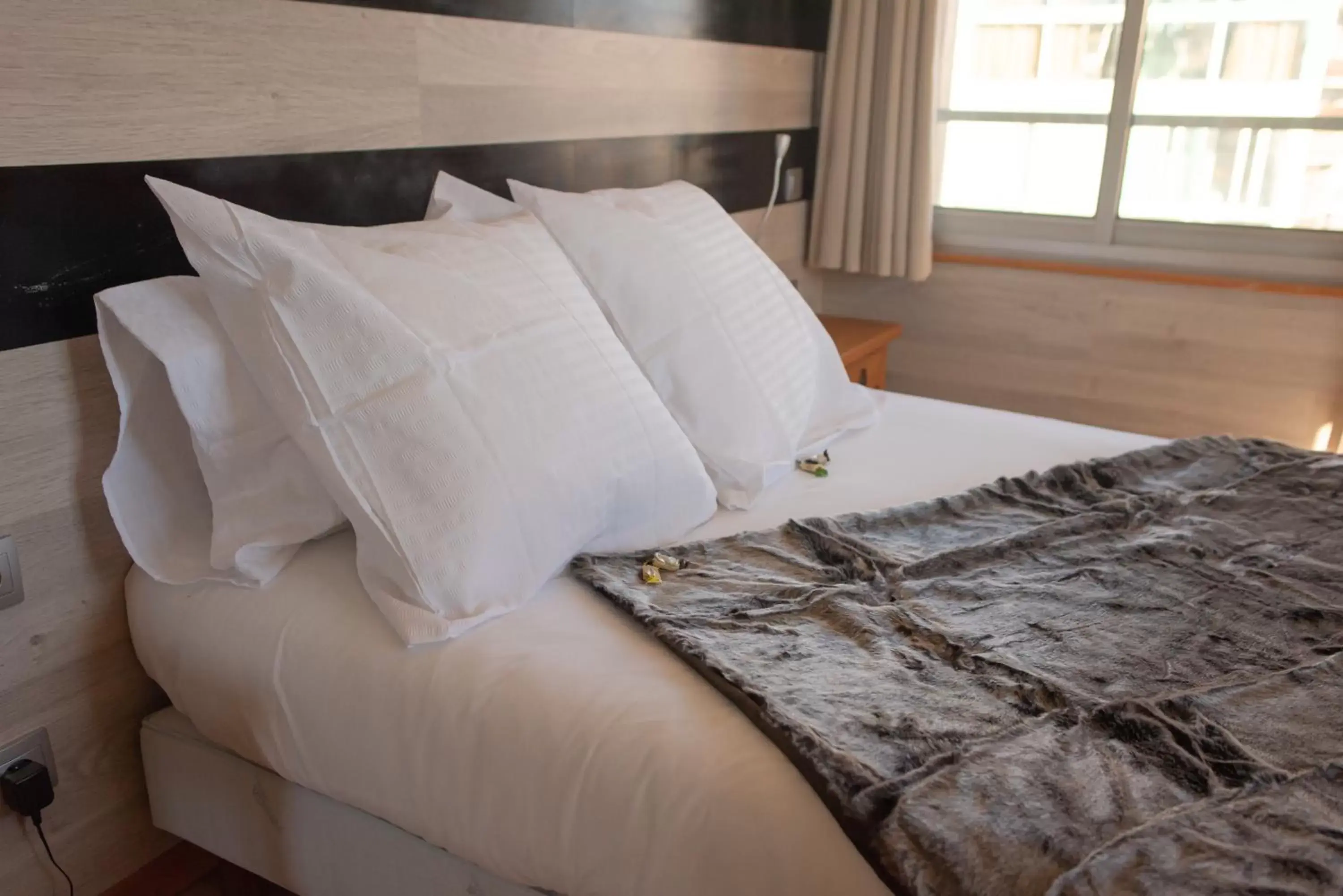 Double Room North Side with Shower in Hotel des Pyrénées Double Room North Side with Shower in Hotel des Pyrénées