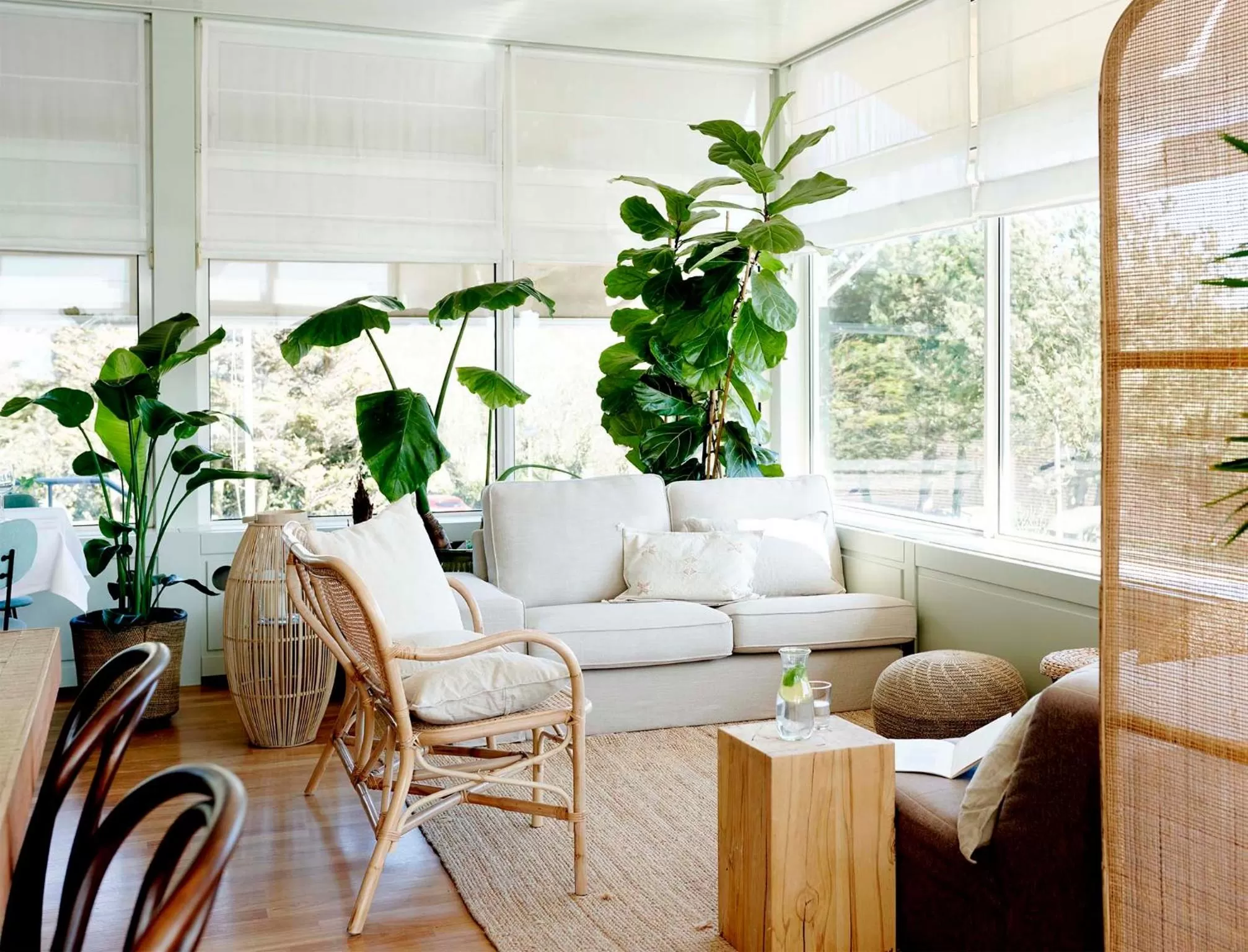 Restaurant/places to eat in Hotel Zonne