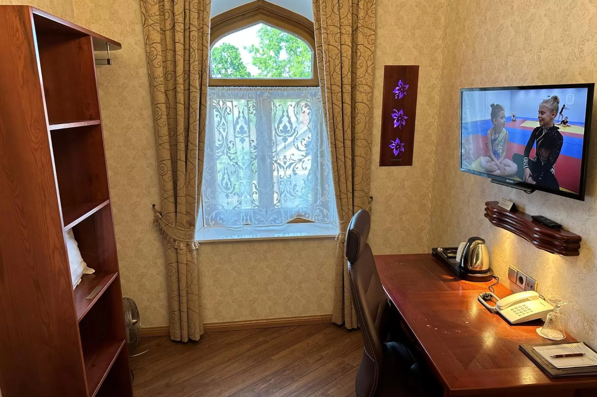 TV and multimedia in Georgi Hotell