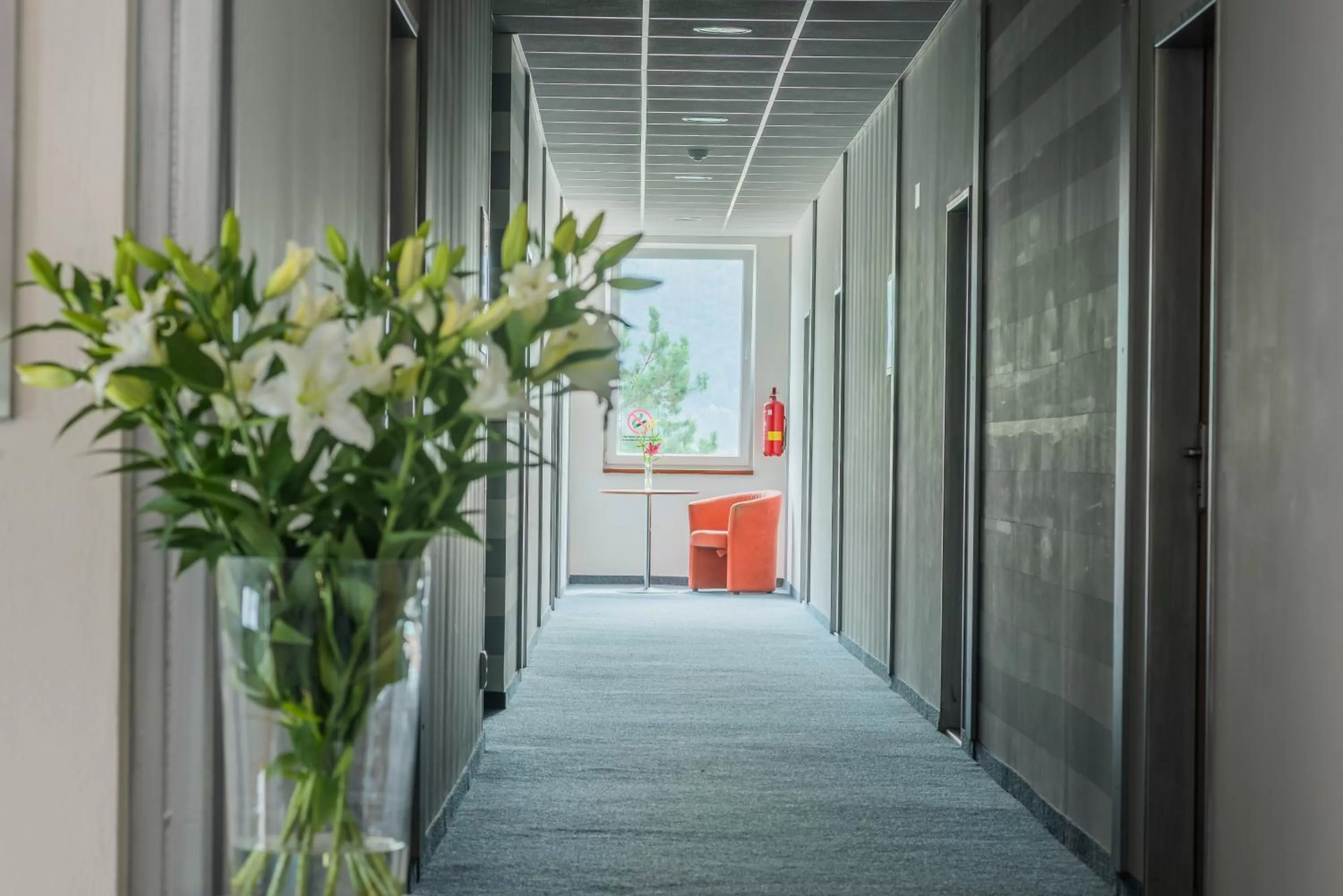 Decorative detail in City Hotel B&B, reception 24 7, 800m od-from R1, free parking