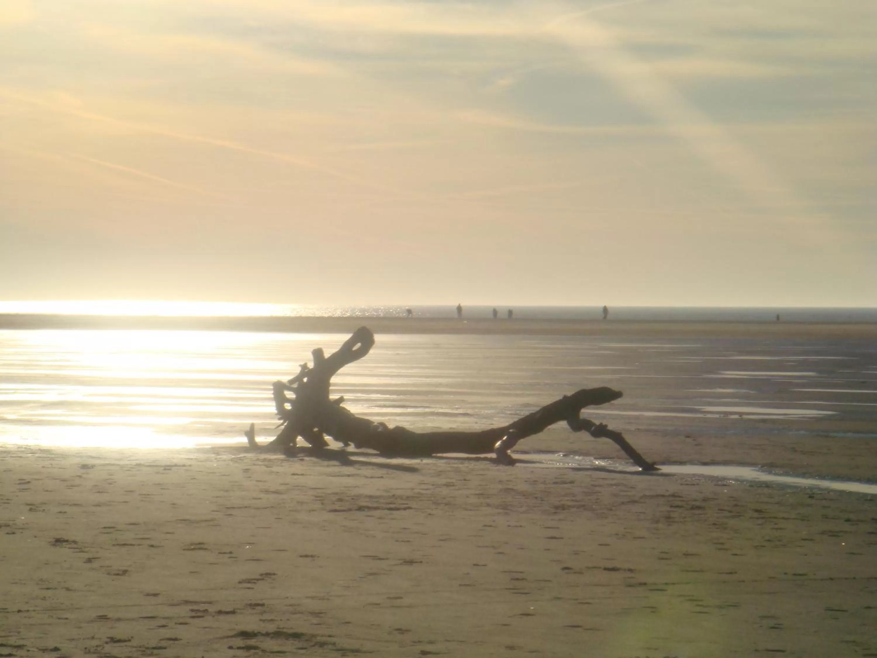 Area and facilities in Hotel Twilling