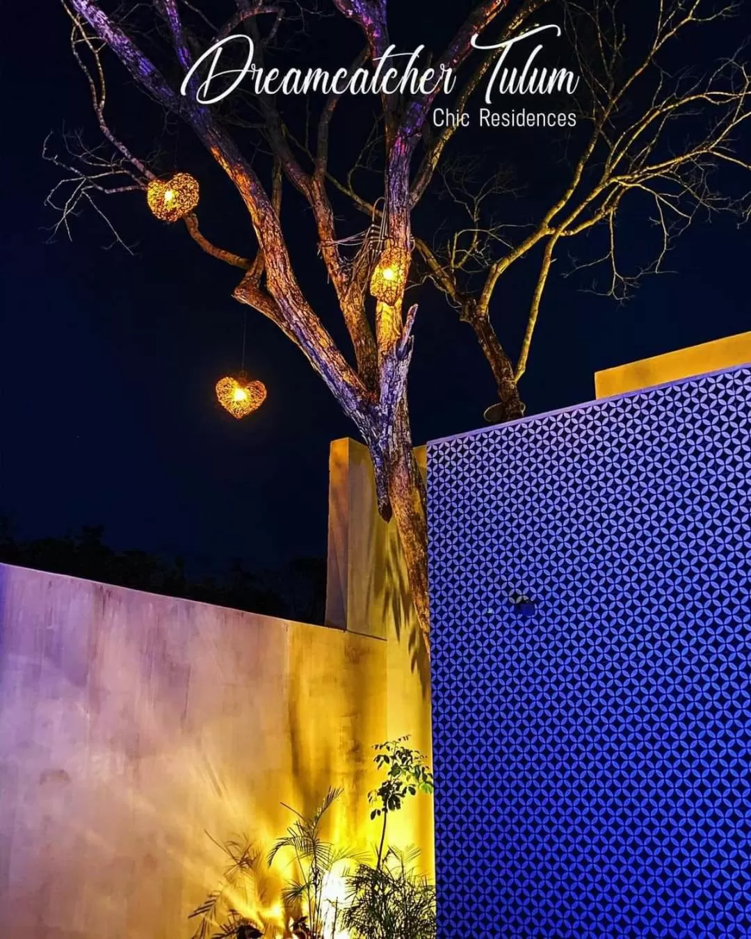 Pool view in Dreamcatcher Tulum