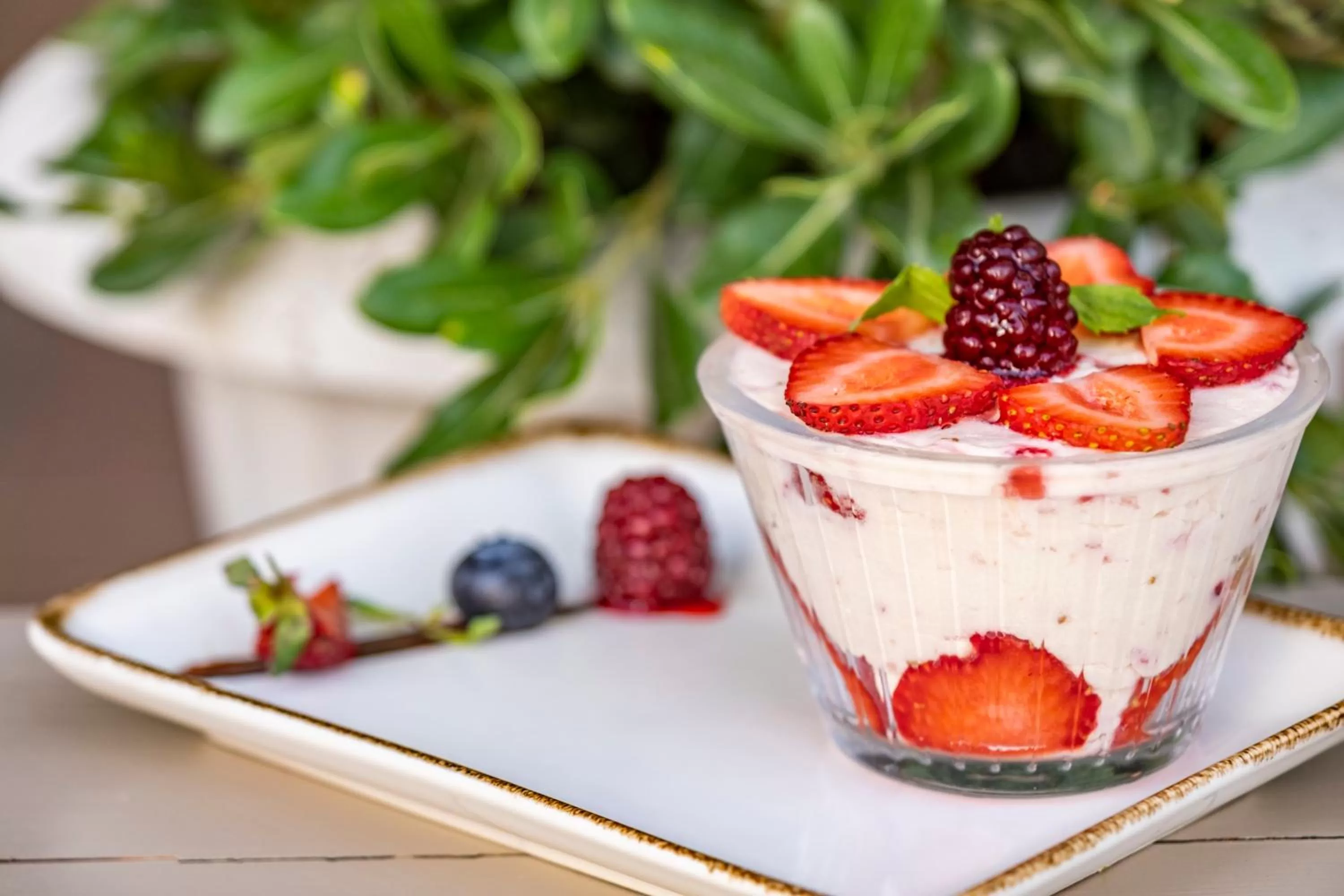 Food close-up in Manzara Boutique Hotel - Adults Only