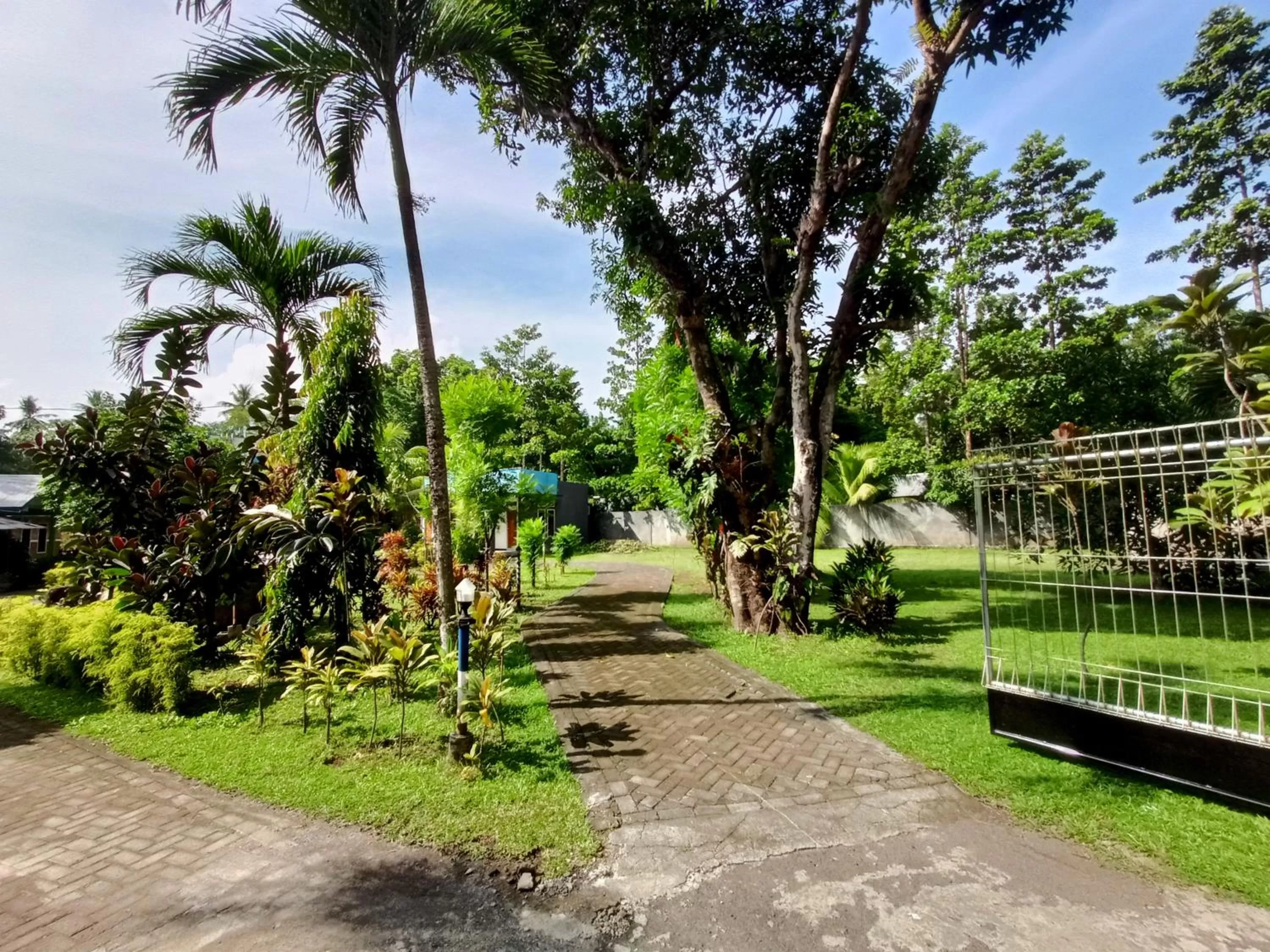Garden view in Tangkoko Lodge