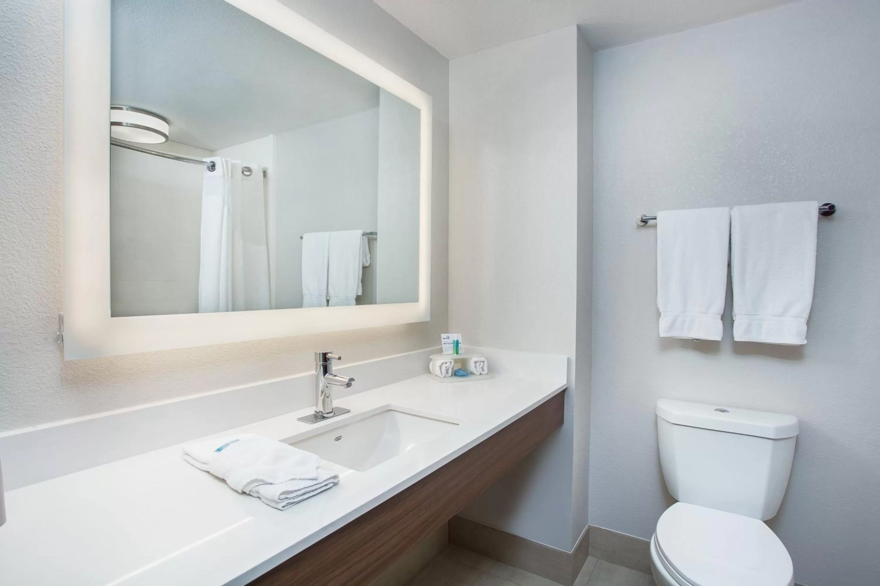 Bathroom in Holiday Inn Express & Suites Lebanon-Nashville Area by IHG