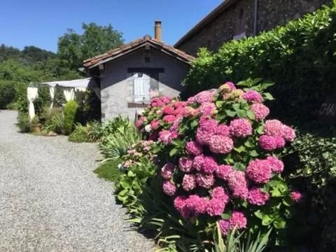 Garden in Loft Atypique