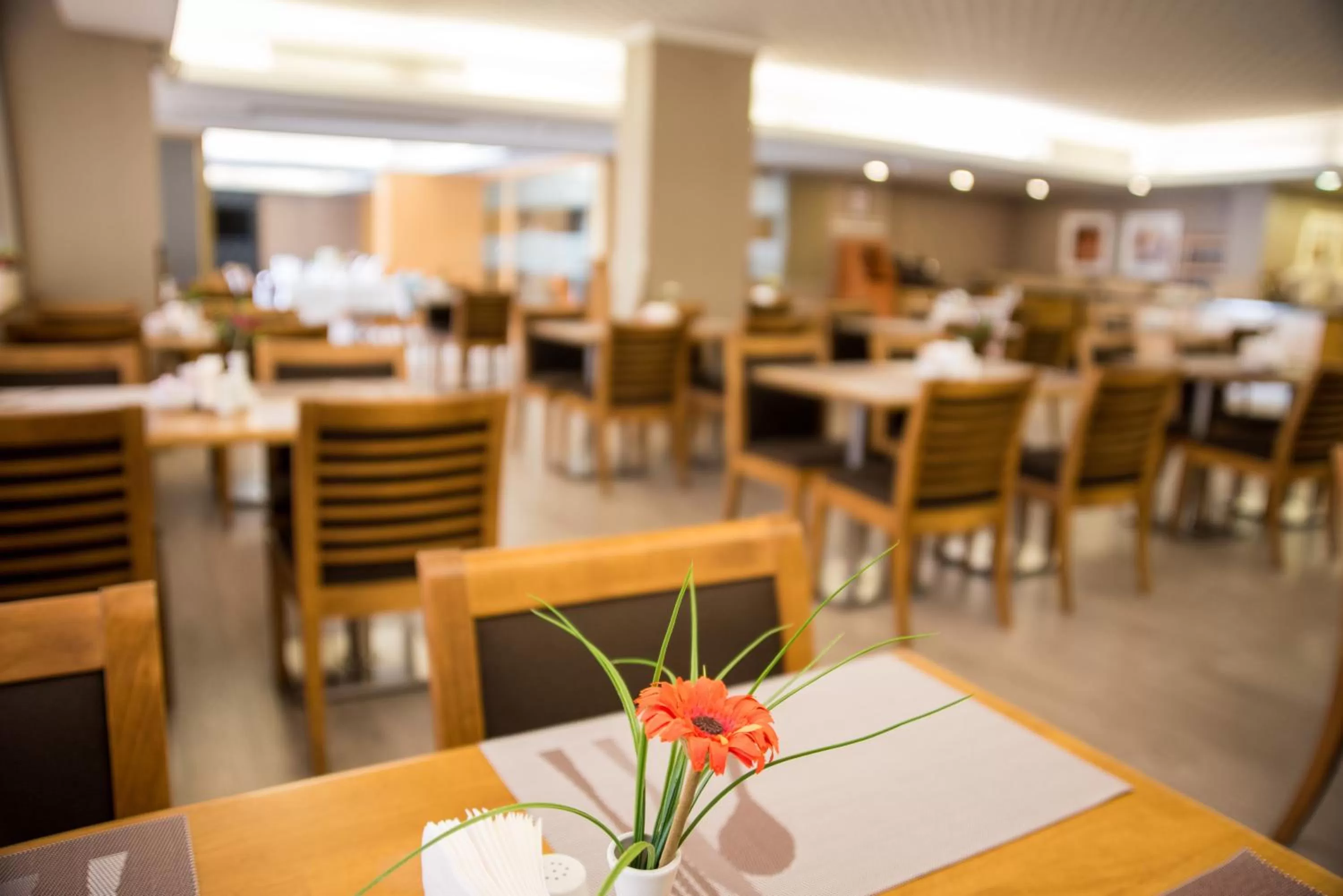 Restaurant/places to eat in Efeler Hotel