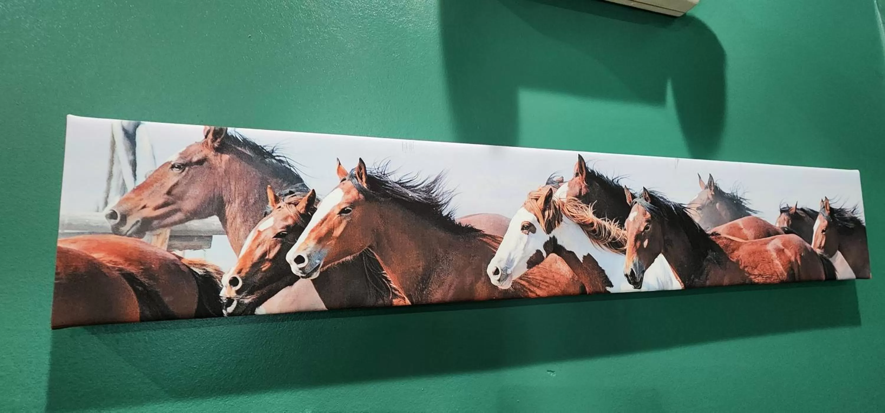 Horse-riding in Quality Inn Dry Ridge