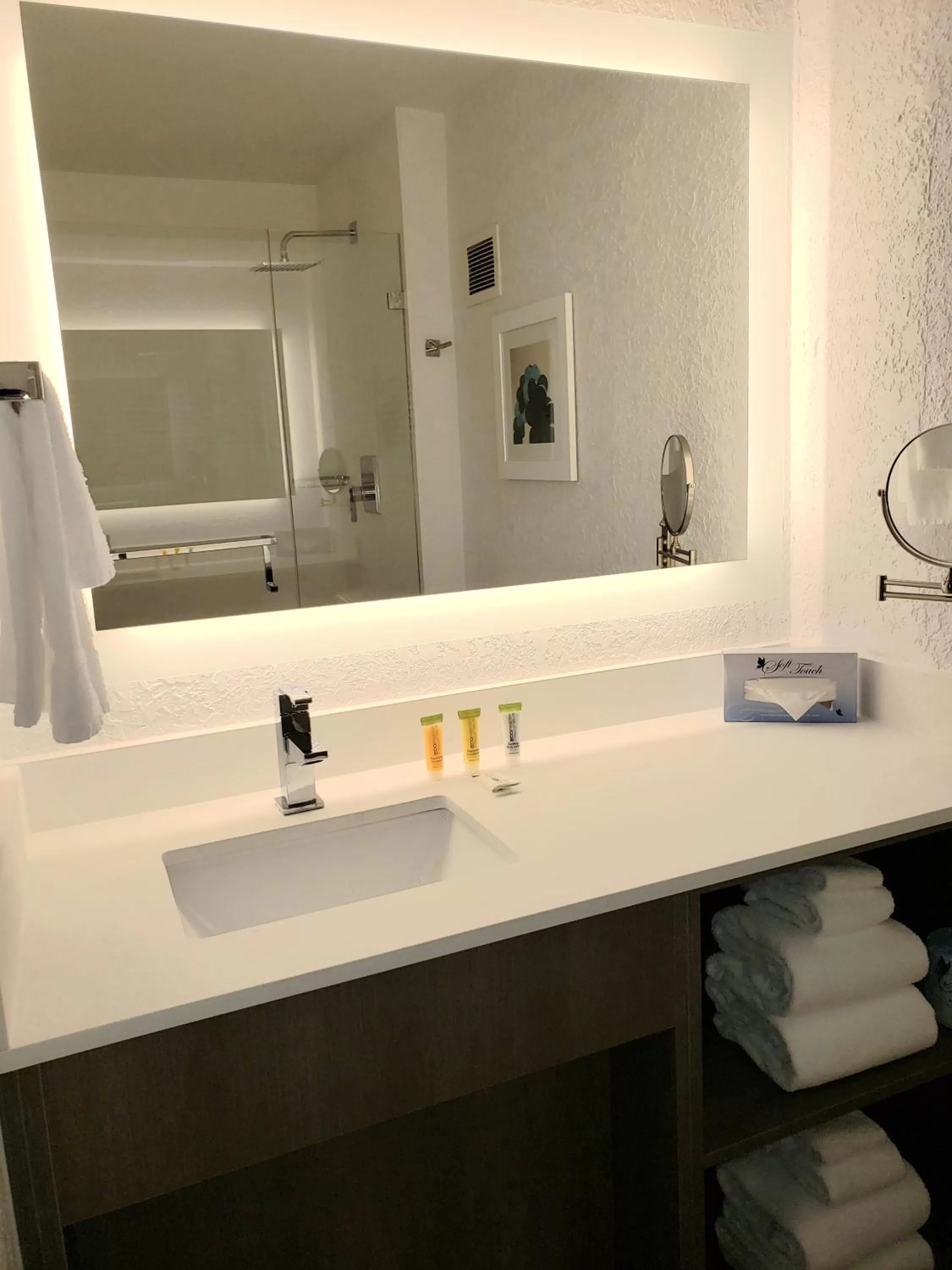 Bathroom in Wyndham Orlando Resort & Conference Center, Celebration Area