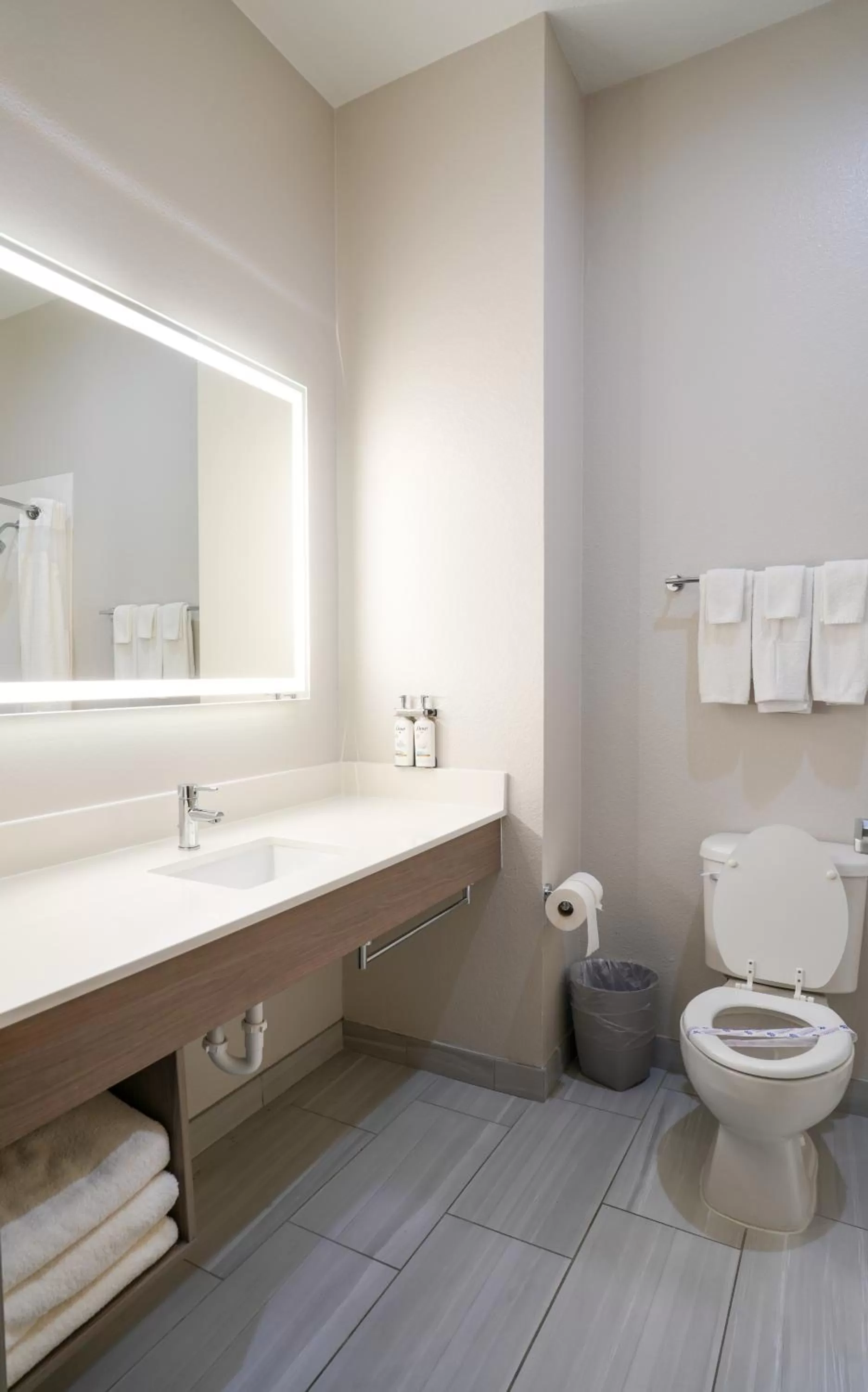 Bathroom in Holiday Inn Express Hotel & Suites Cedar Hill by IHG