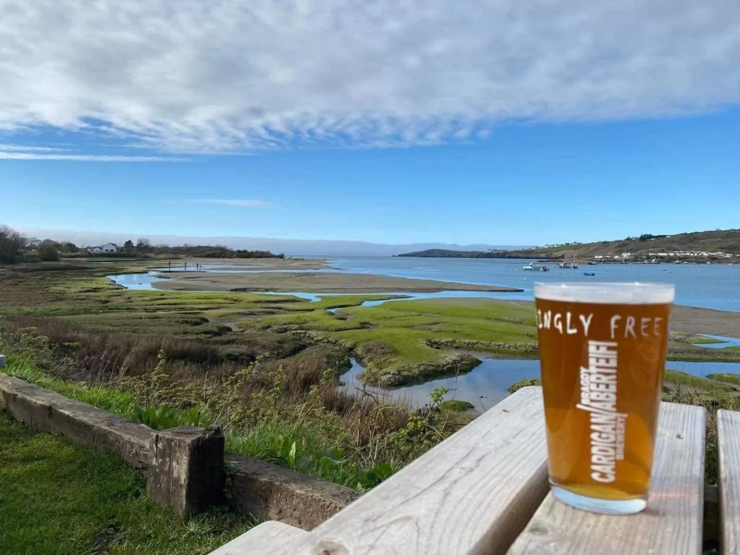 Beach in The Teifi Waterside Hotel