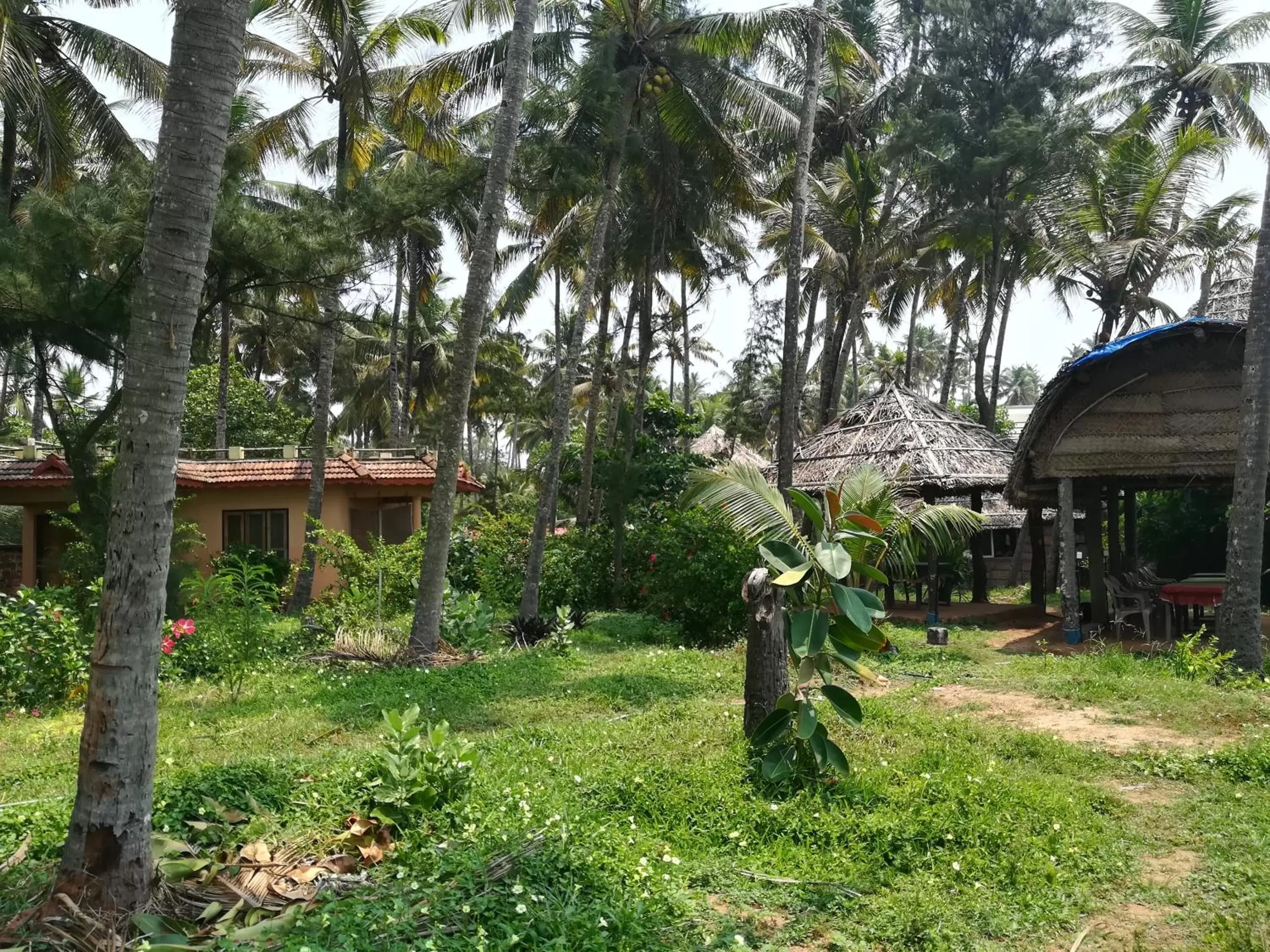 Garden in Sukriti beach Resort
