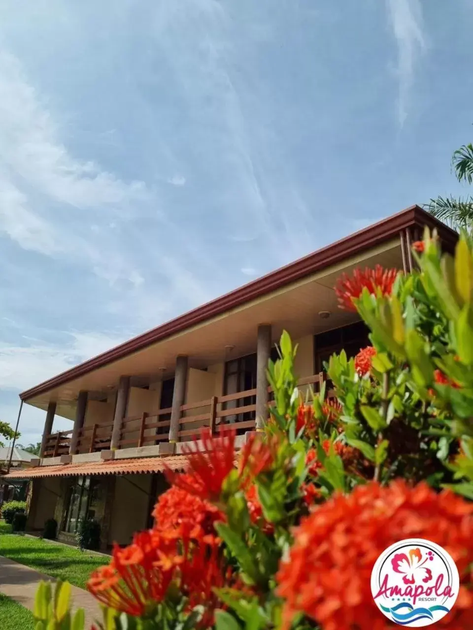 Junior Suite in Amapola Resort Junior Suite in Amapola Resort