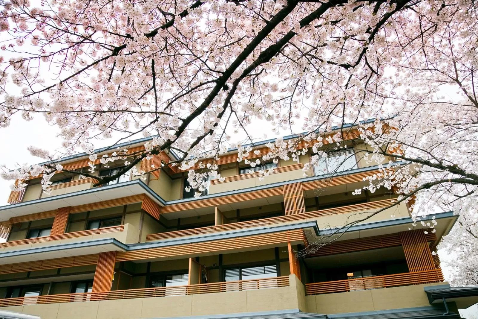 Property building in Kadensho, Arashiyama Onsen, Kyoto - Kyoritsu Resort