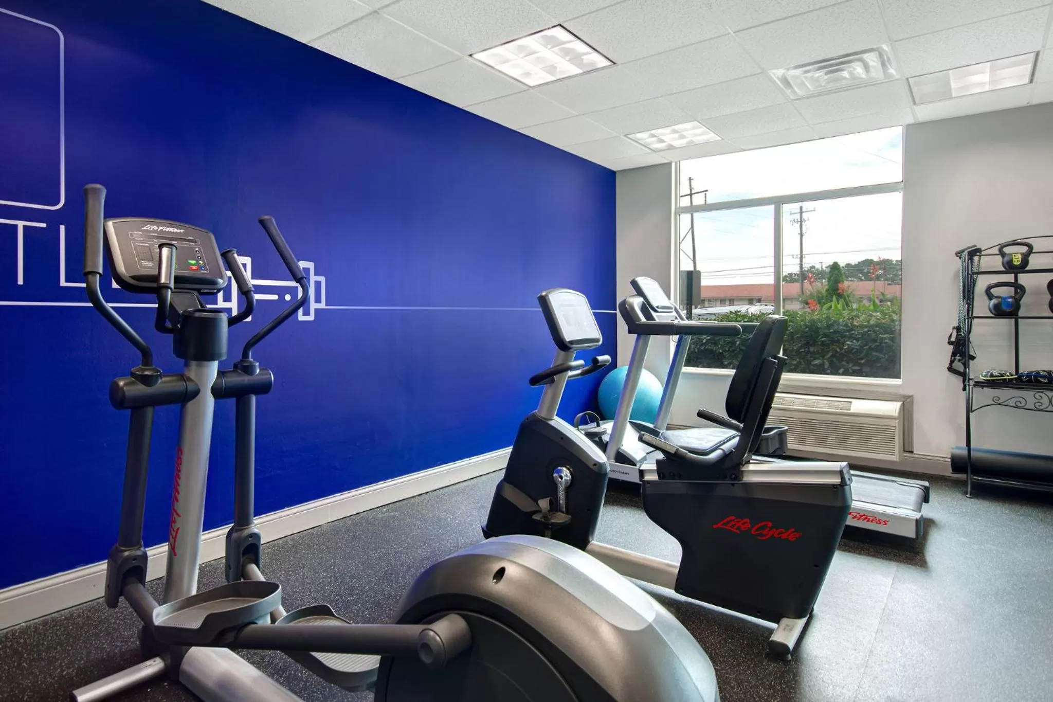 Fitness centre/facilities in Holiday Inn Express Marietta - Atlanta Northwest by IHG
