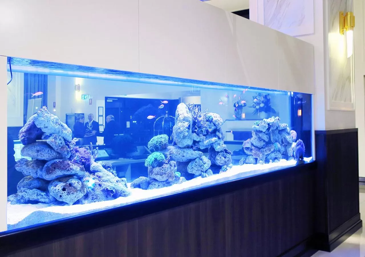 Lobby or reception in Burke and Wills Hotel Toowoomba