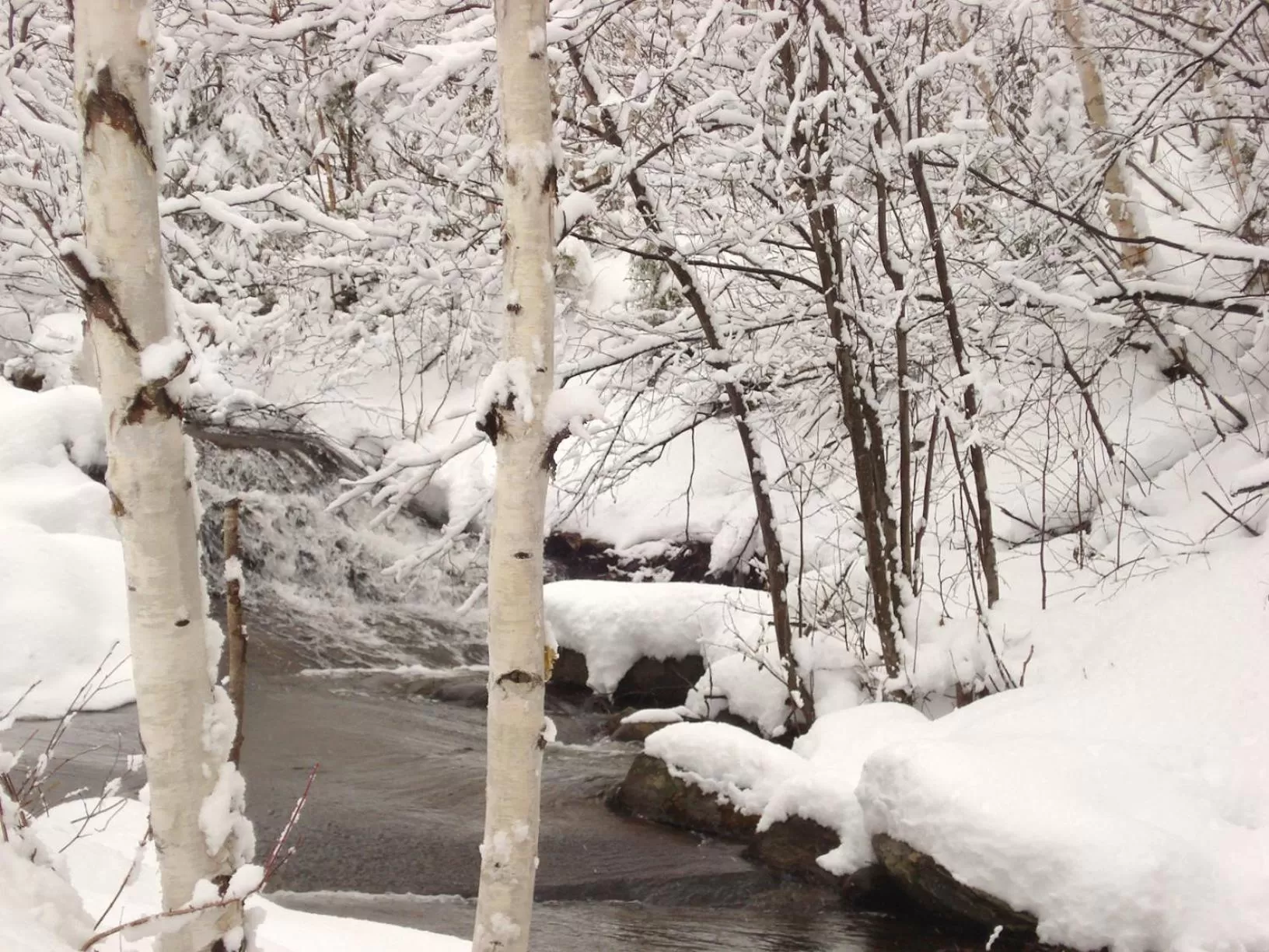 Area and facilities, Winter in Auberge La Tanière