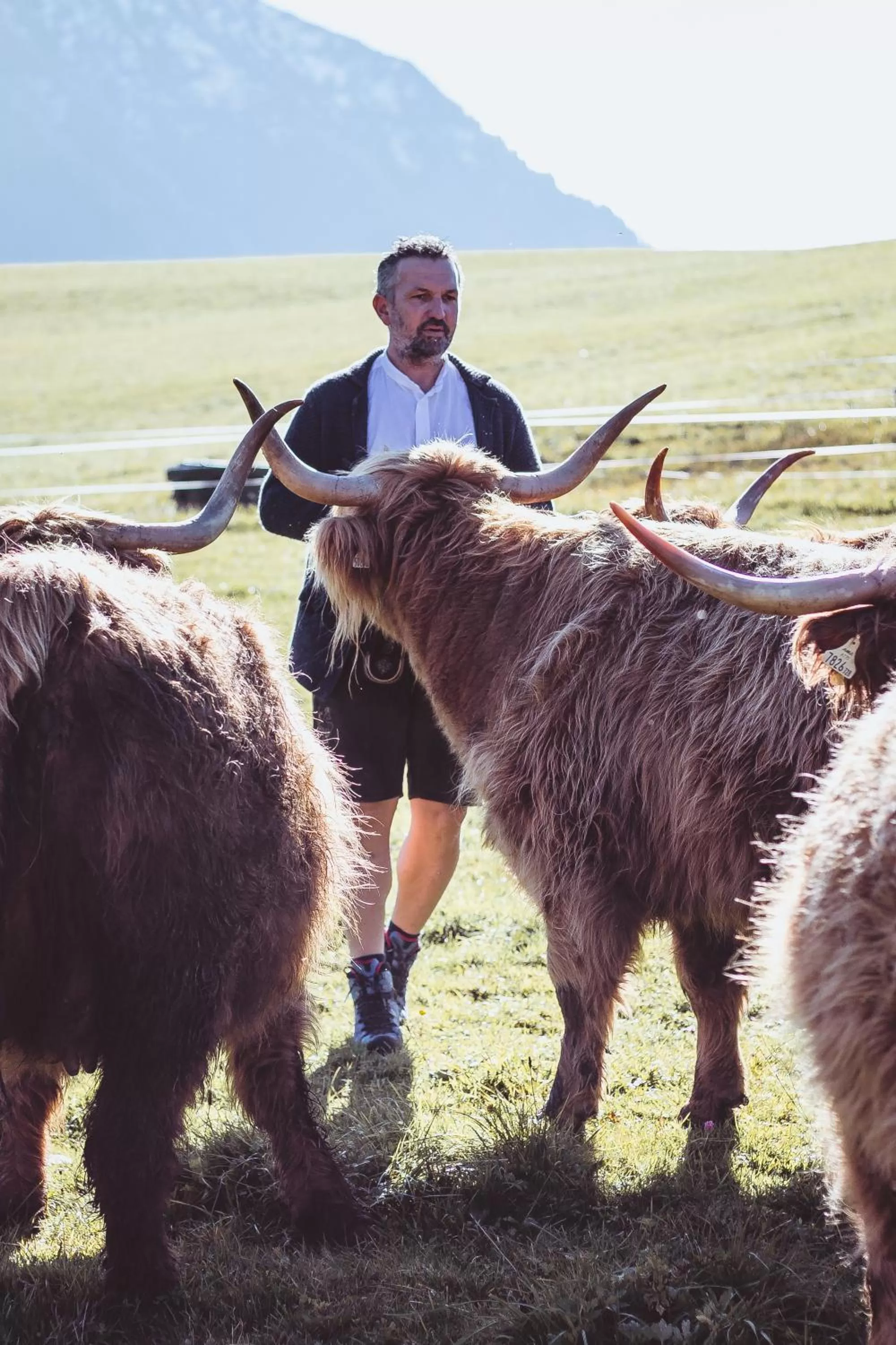 Garden in Farm Hotel Chalet Grosslehen
