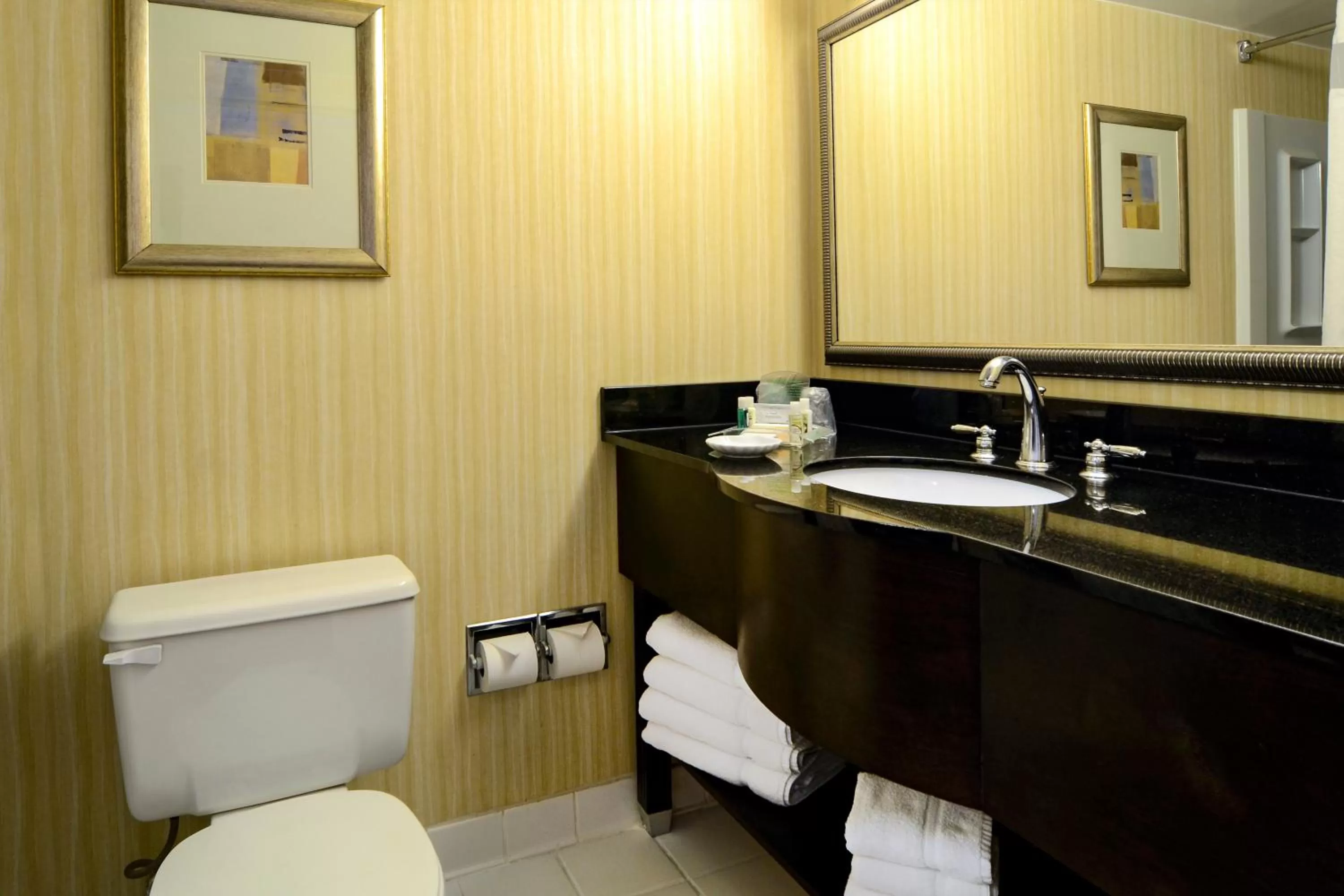 Bathroom in Holiday Inn Washington D.C. - Greenbelt Maryland by IHG