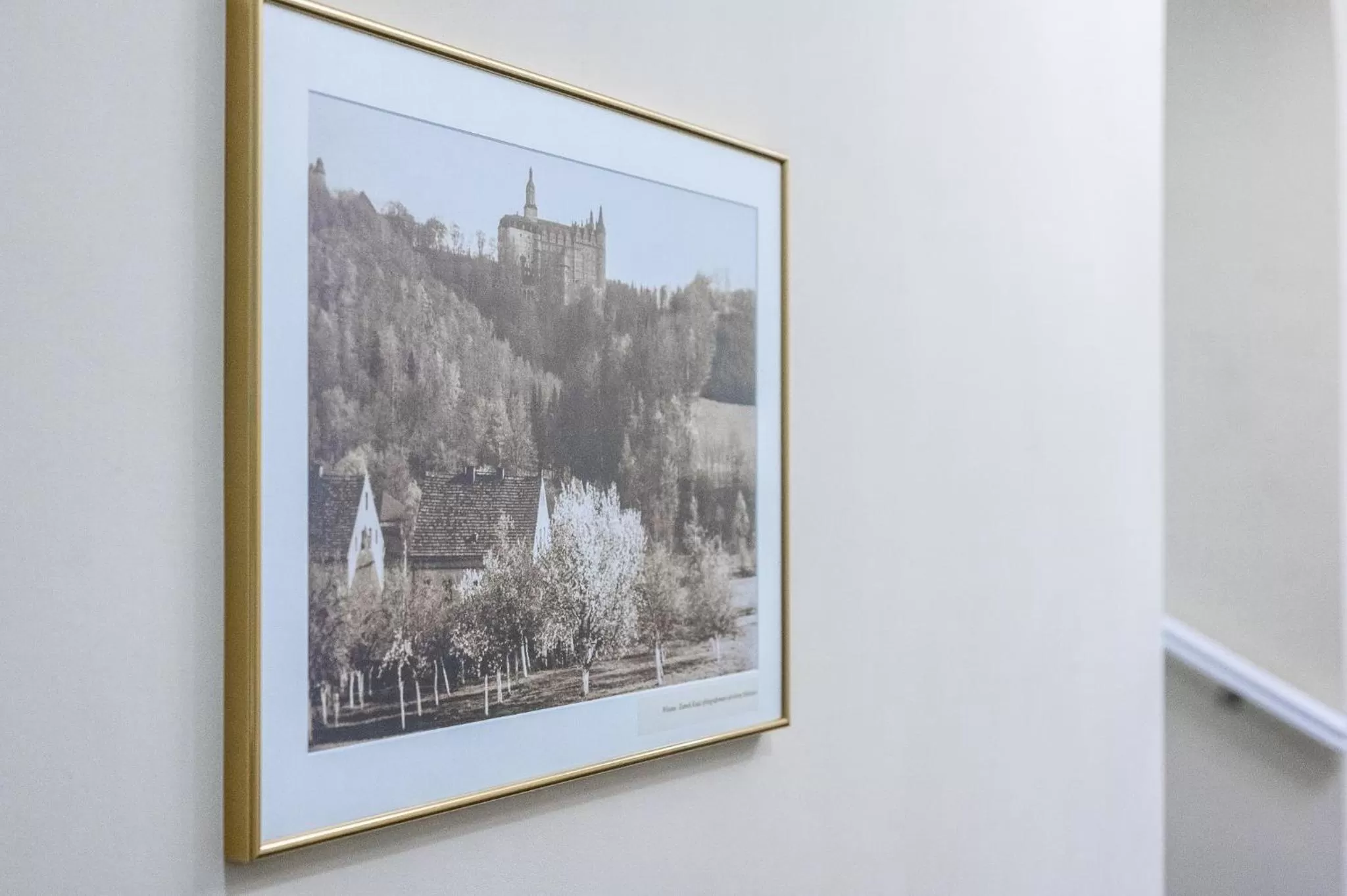 Decorative detail in Hotel Książ