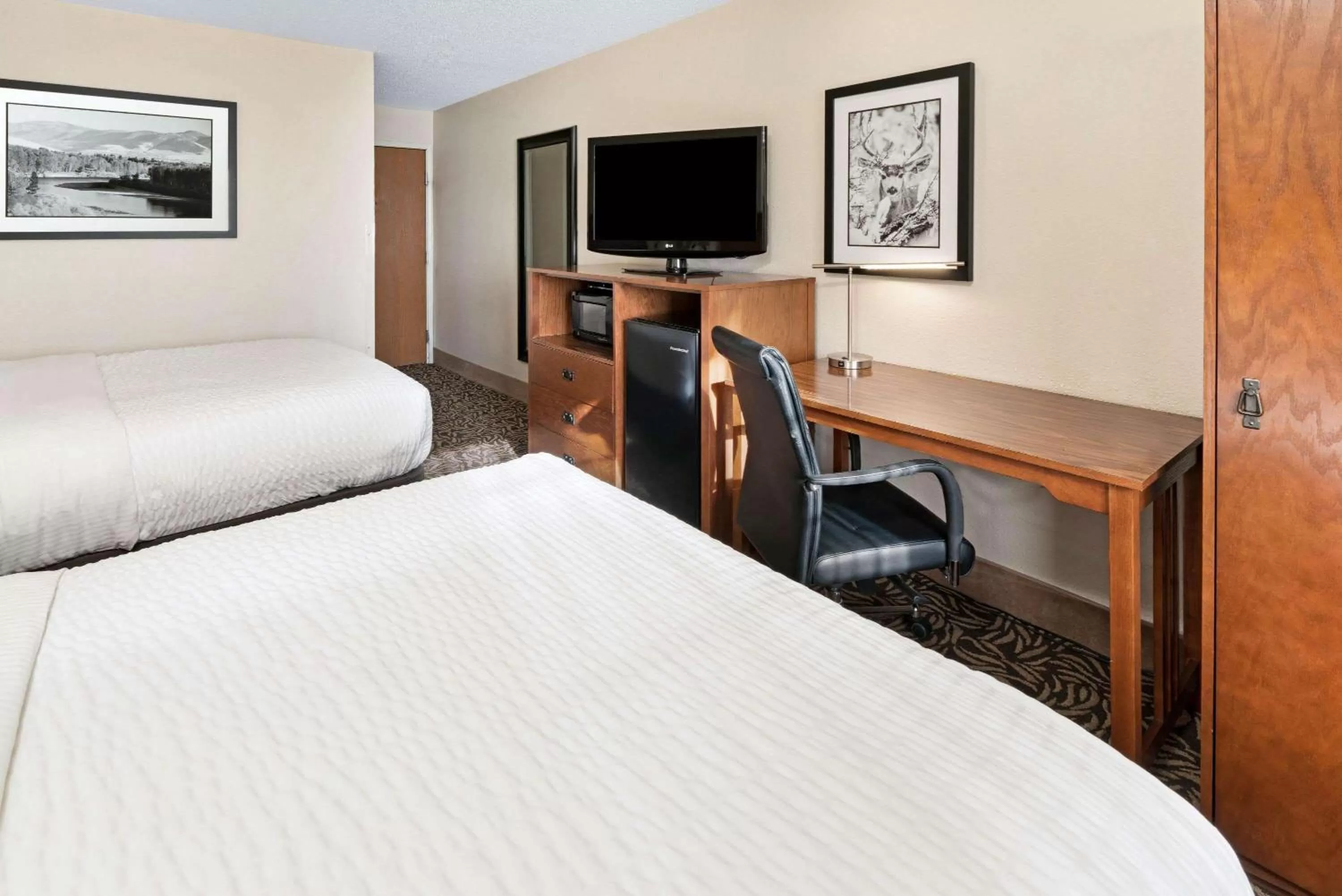 Photo of the whole room, Bed in La Quinta Inn by Wyndham Missoula