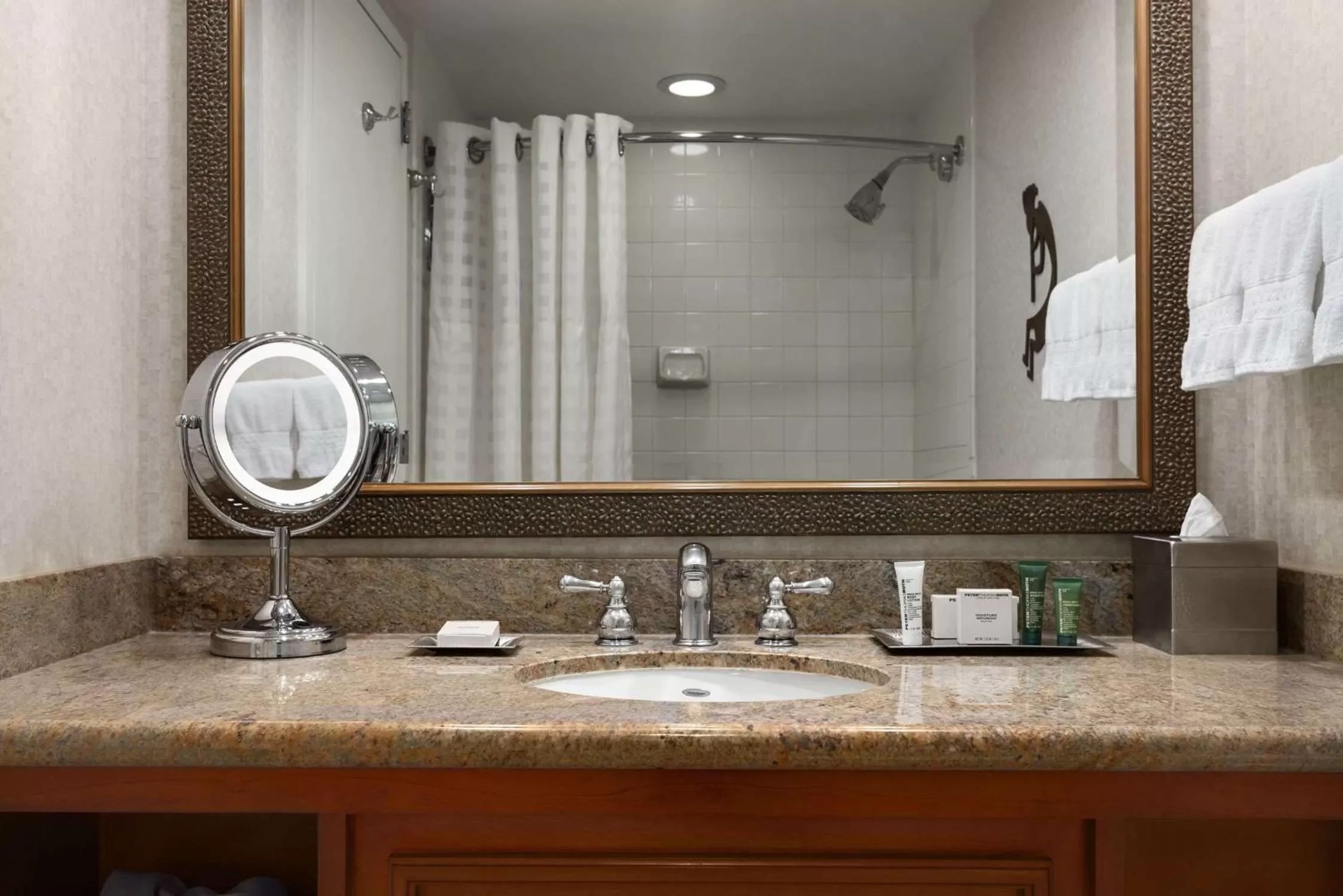 Bathroom in Hilton Phoenix Airport