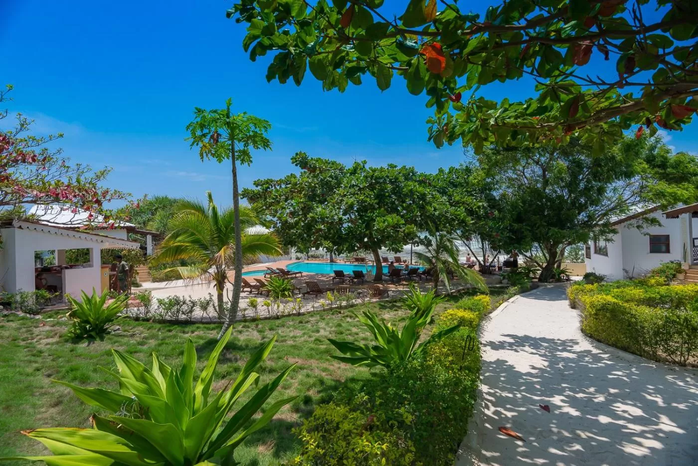 Garden, Property Building in Warere Beach